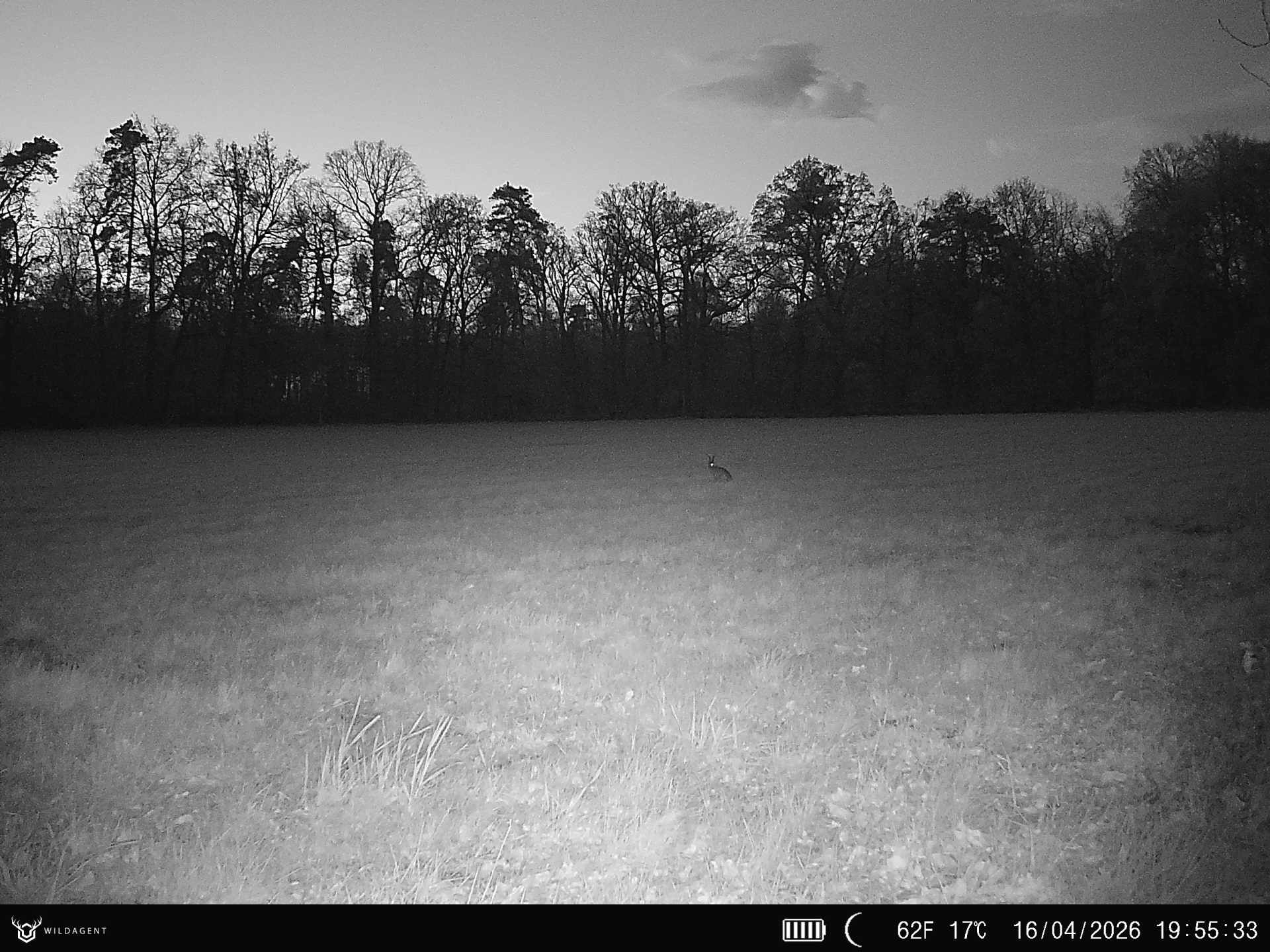 Wildtier 16.04.2026 19:55