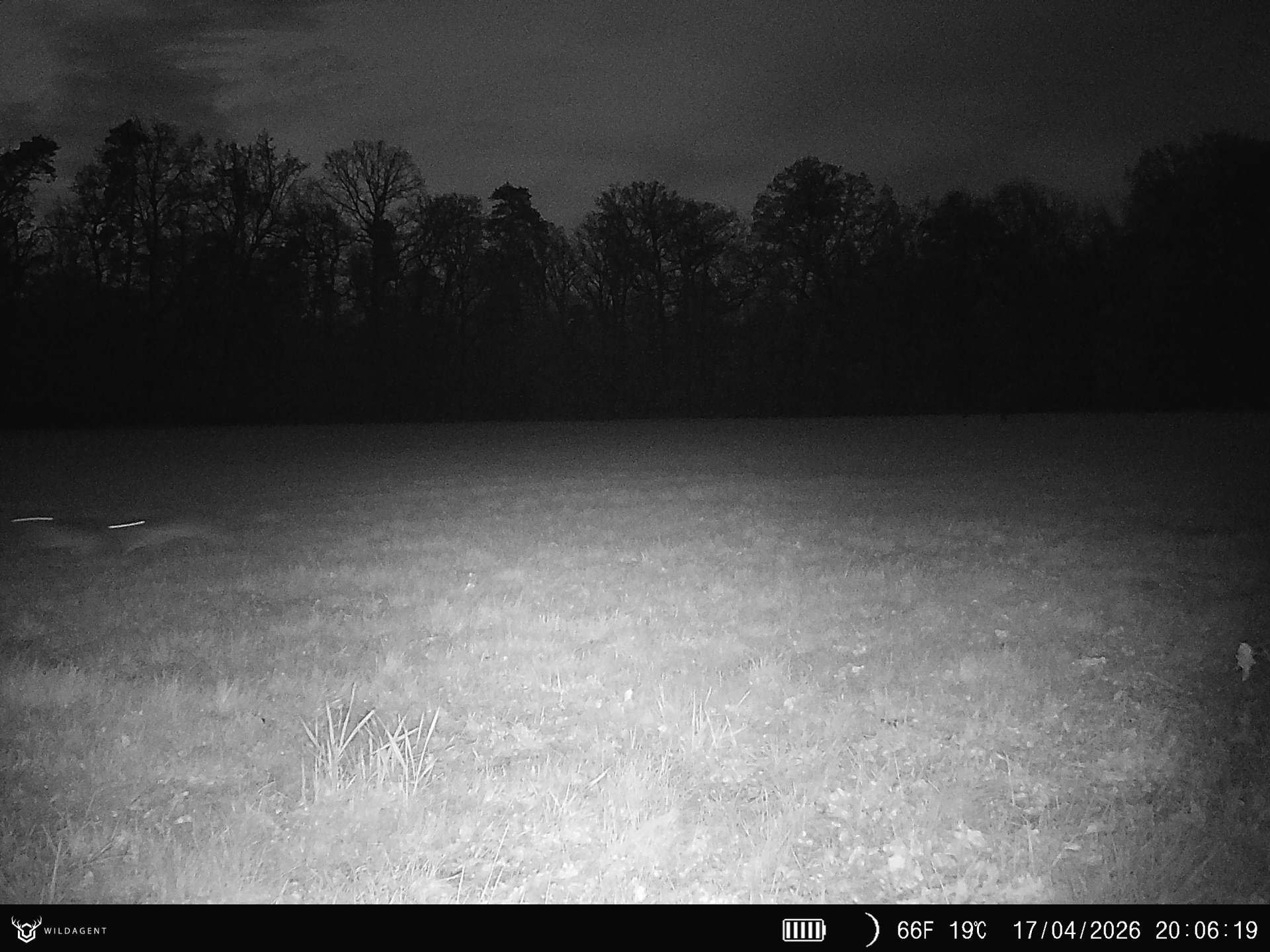 Wildtier 17.04.2026 20:06