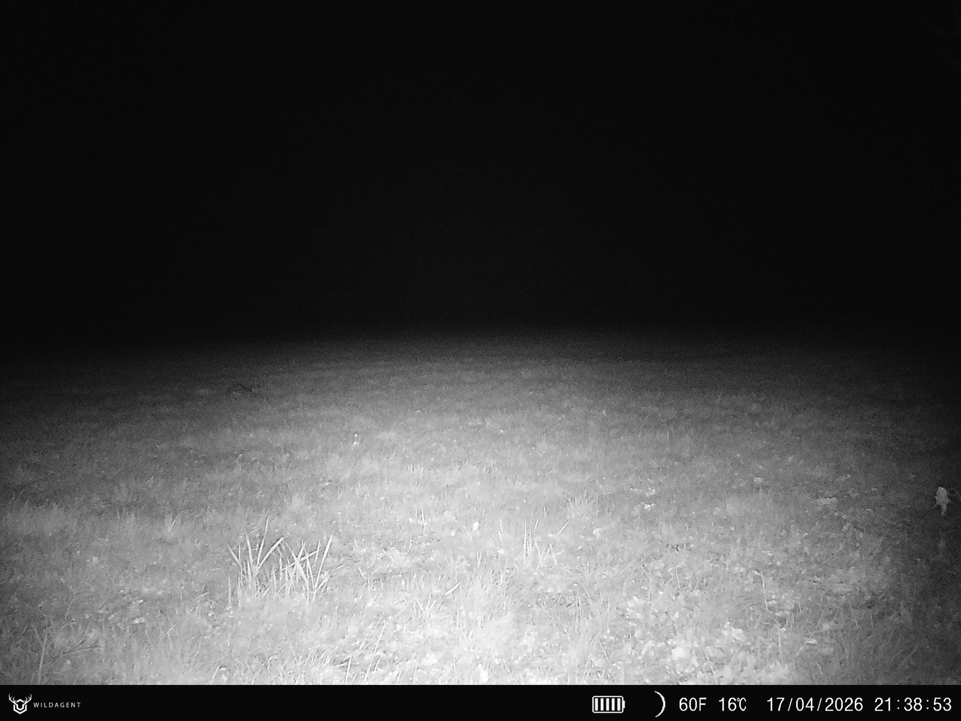 Wildtier 17.04.2026 21:38