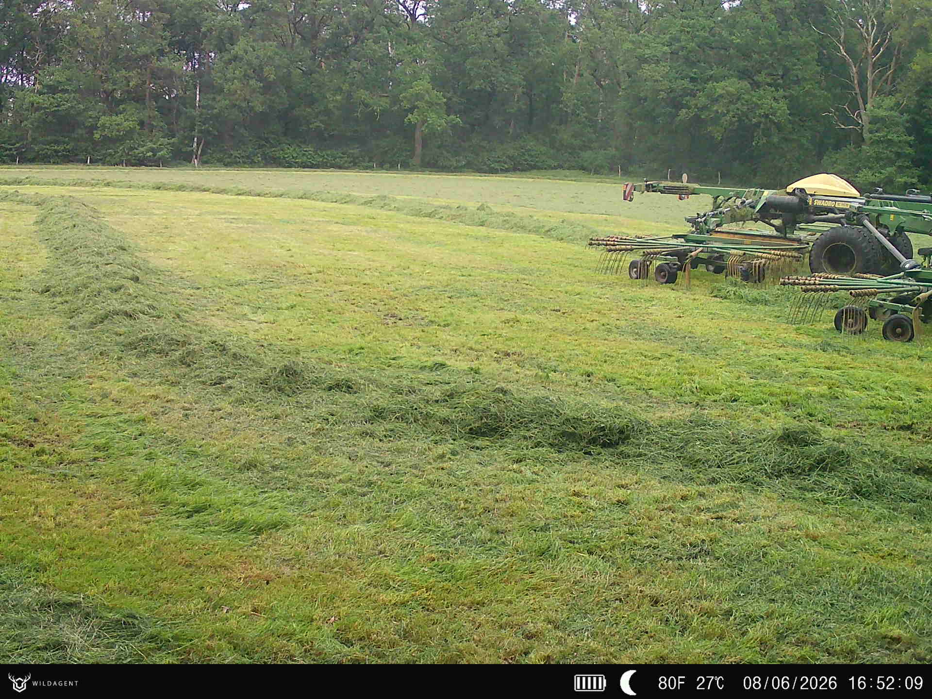 Wildtier 08.06.2026 16:52