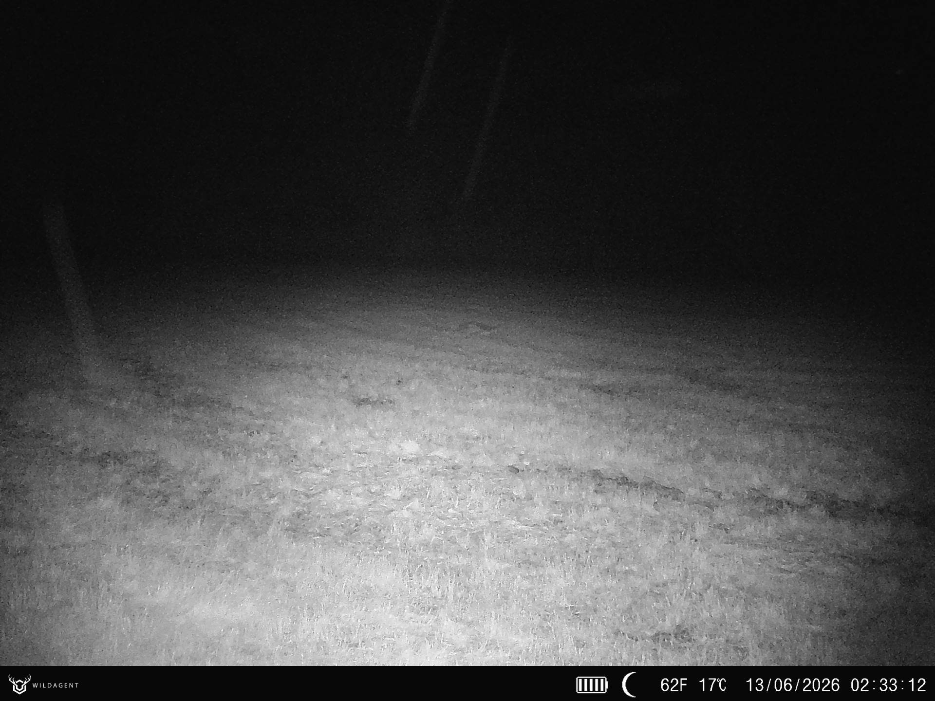 Wildtier 13.06.2026 02:33