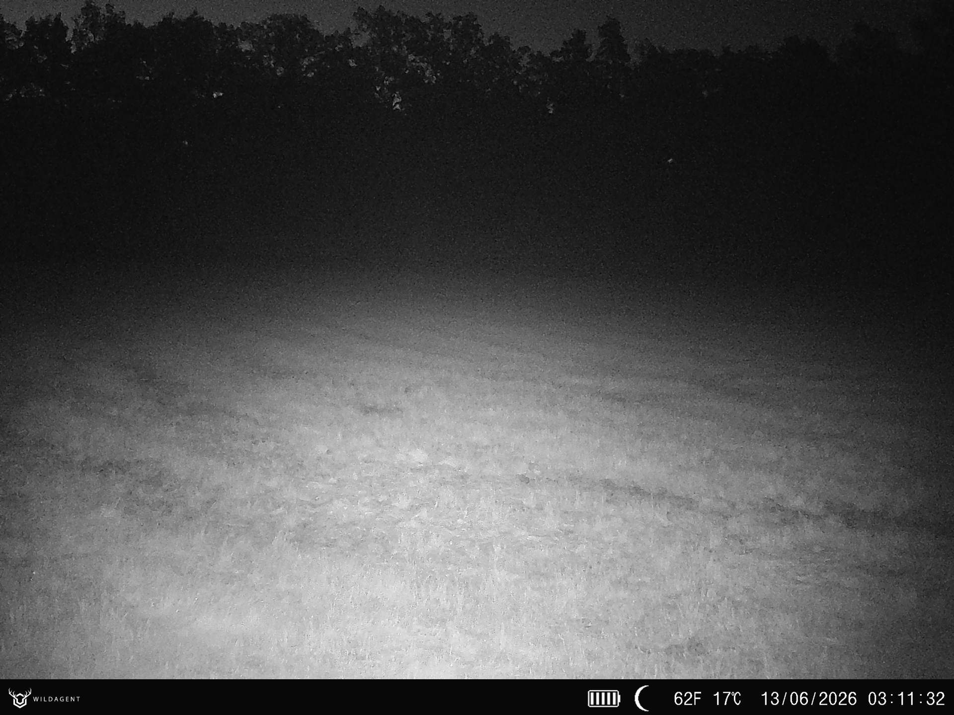 Wildtier 13.06.2026 03:11