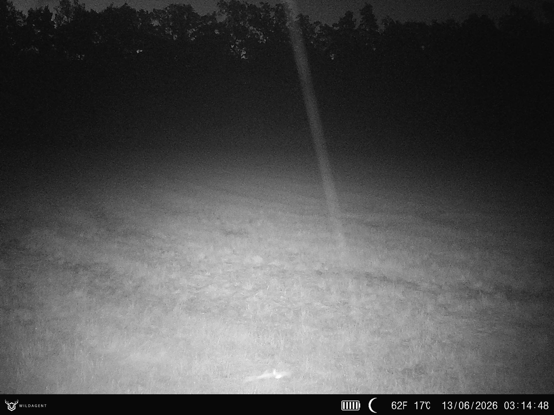 Wildtier 13.06.2026 03:14