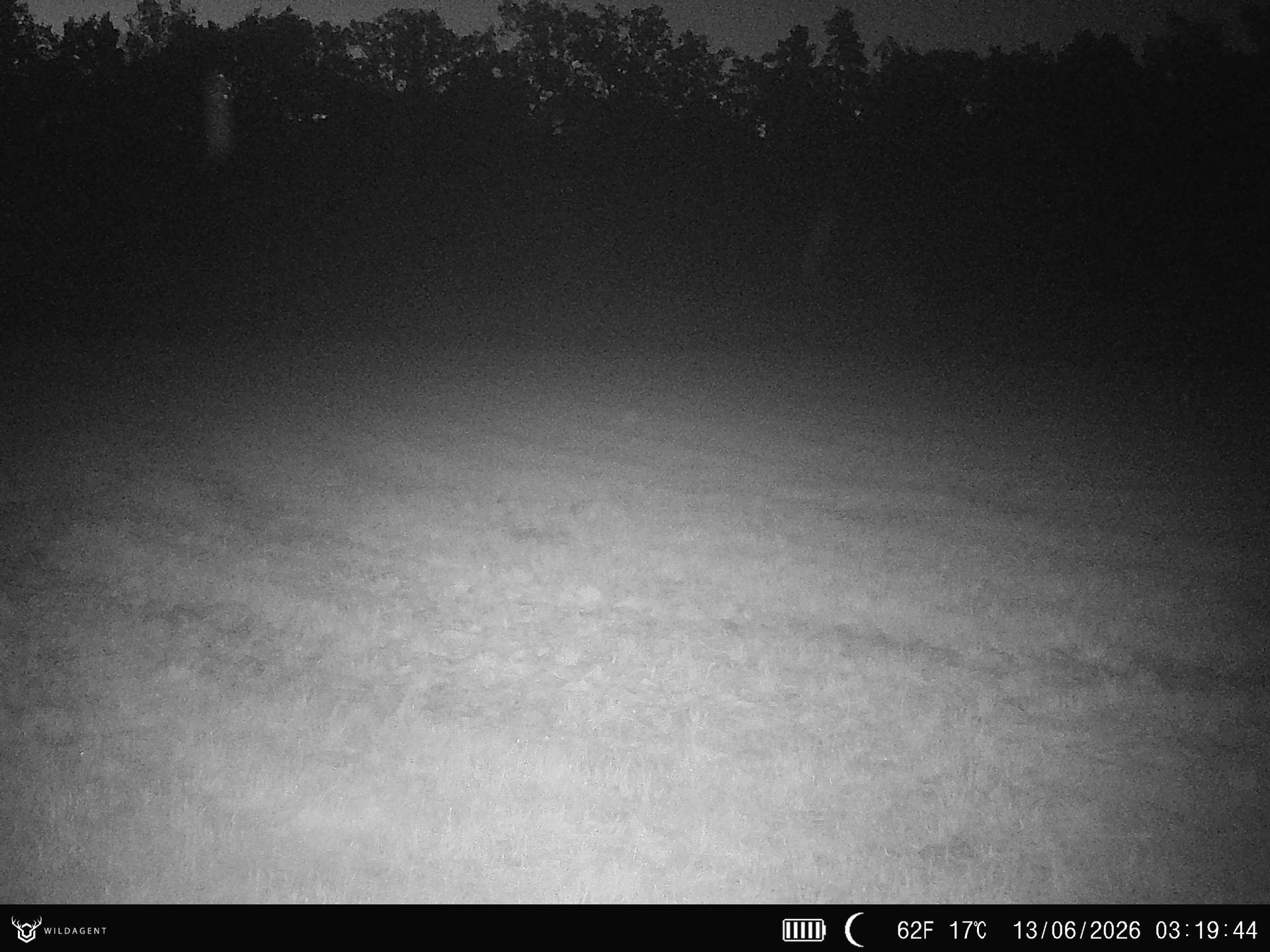 Wildtier 13.06.2026 03:19