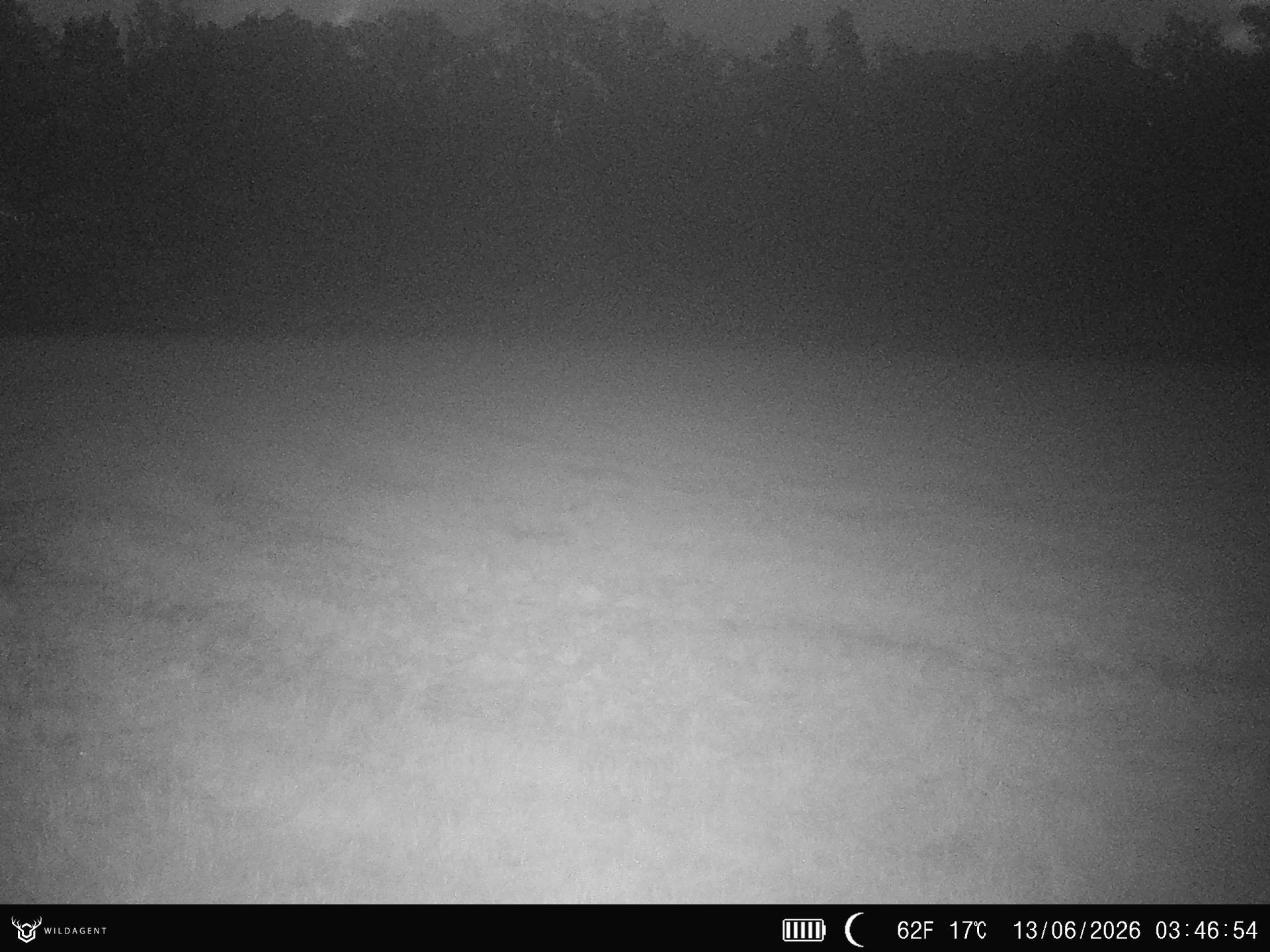 Wildtier 13.06.2026 03:46
