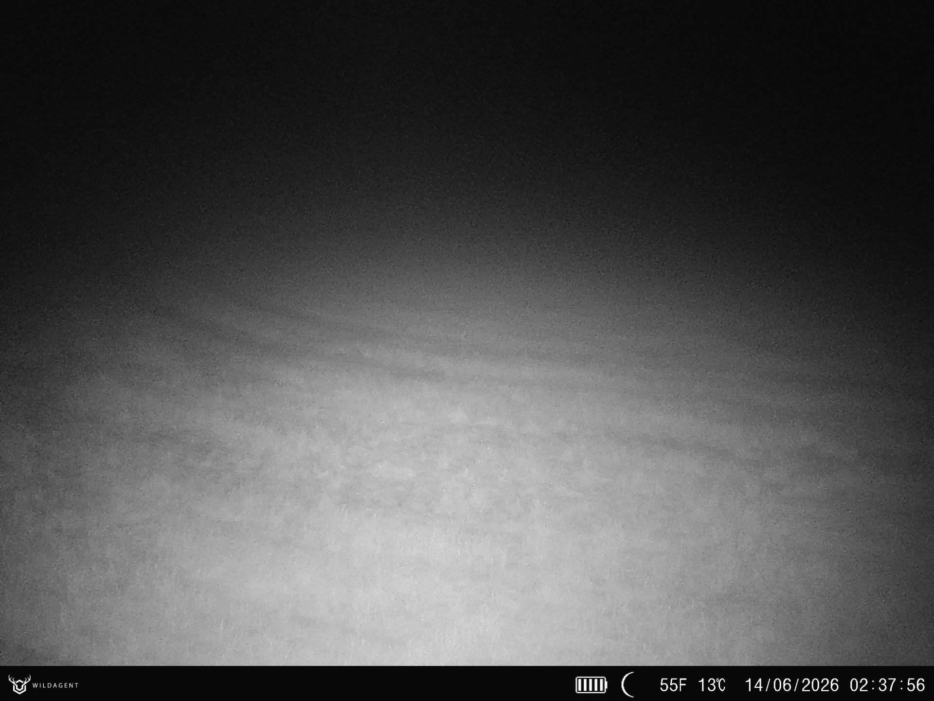Wildtier 14.06.2026 02:37