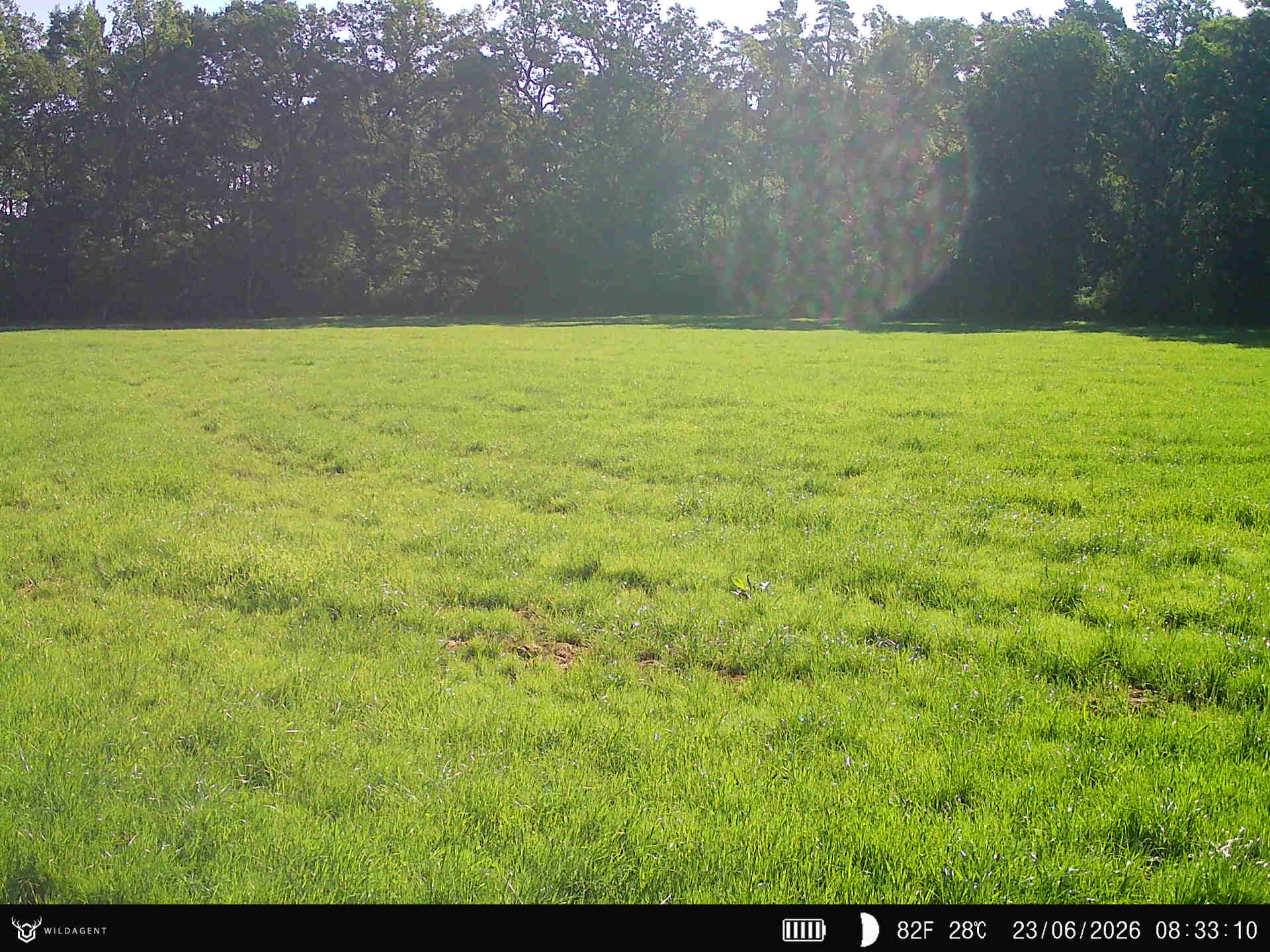Wildtier 23.06.2026 08:33