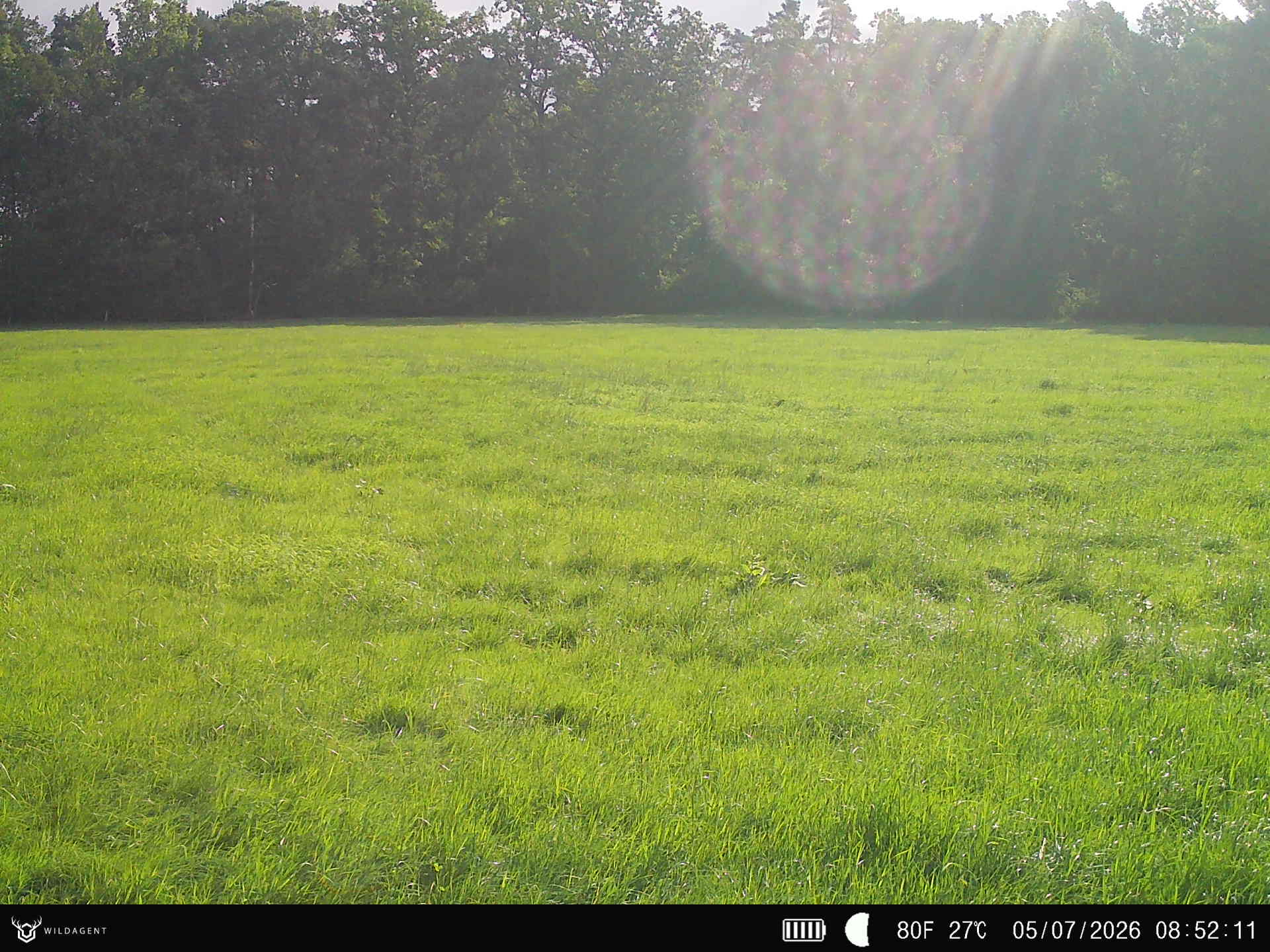 Wildtier 05.07.2026 08:52