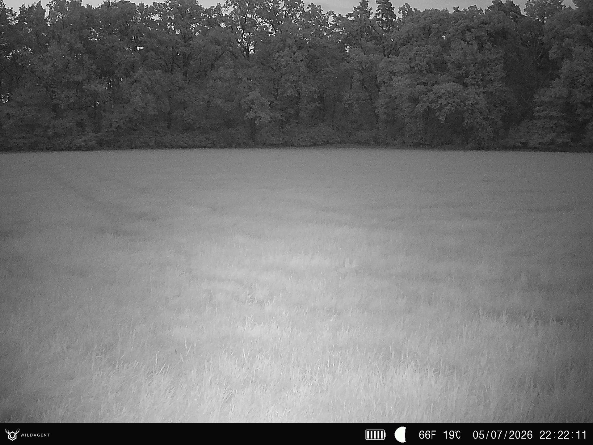 Wildtier 05.07.2026 22:22