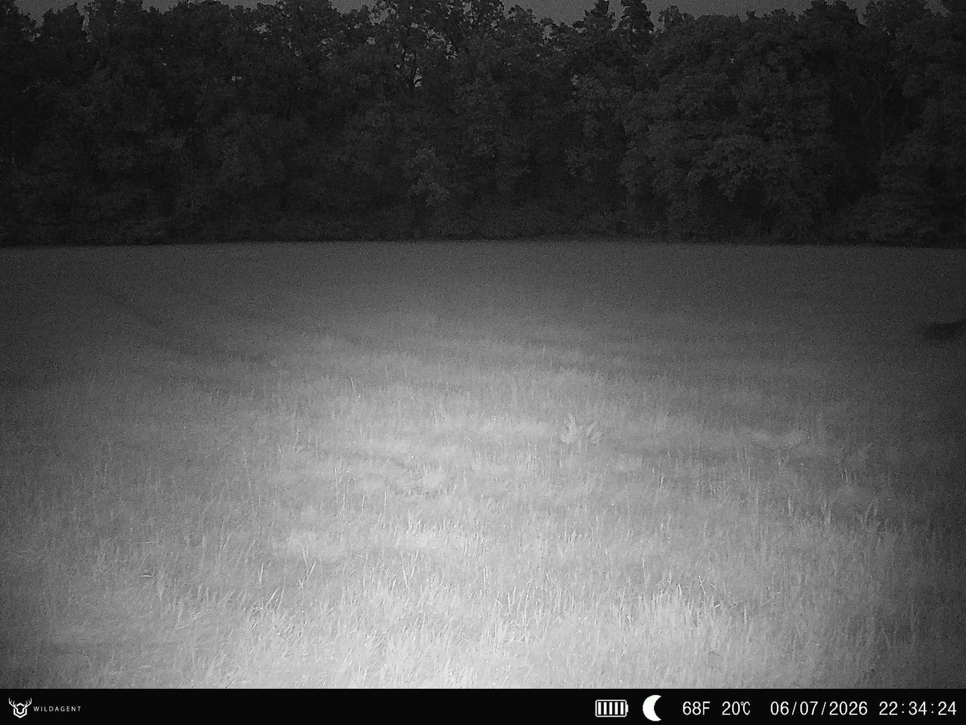 Wildtier 06.07.2026 22:34