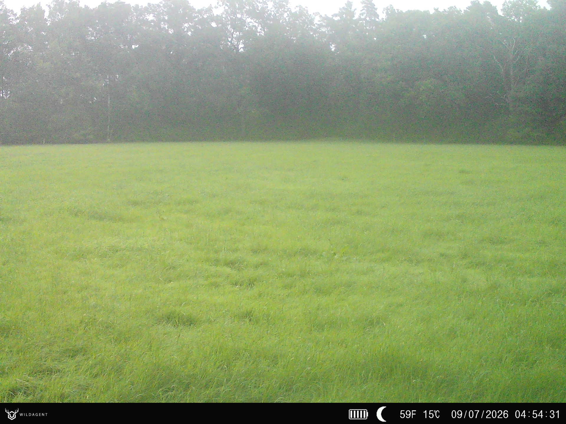 Wildtier 09.07.2026 04:54