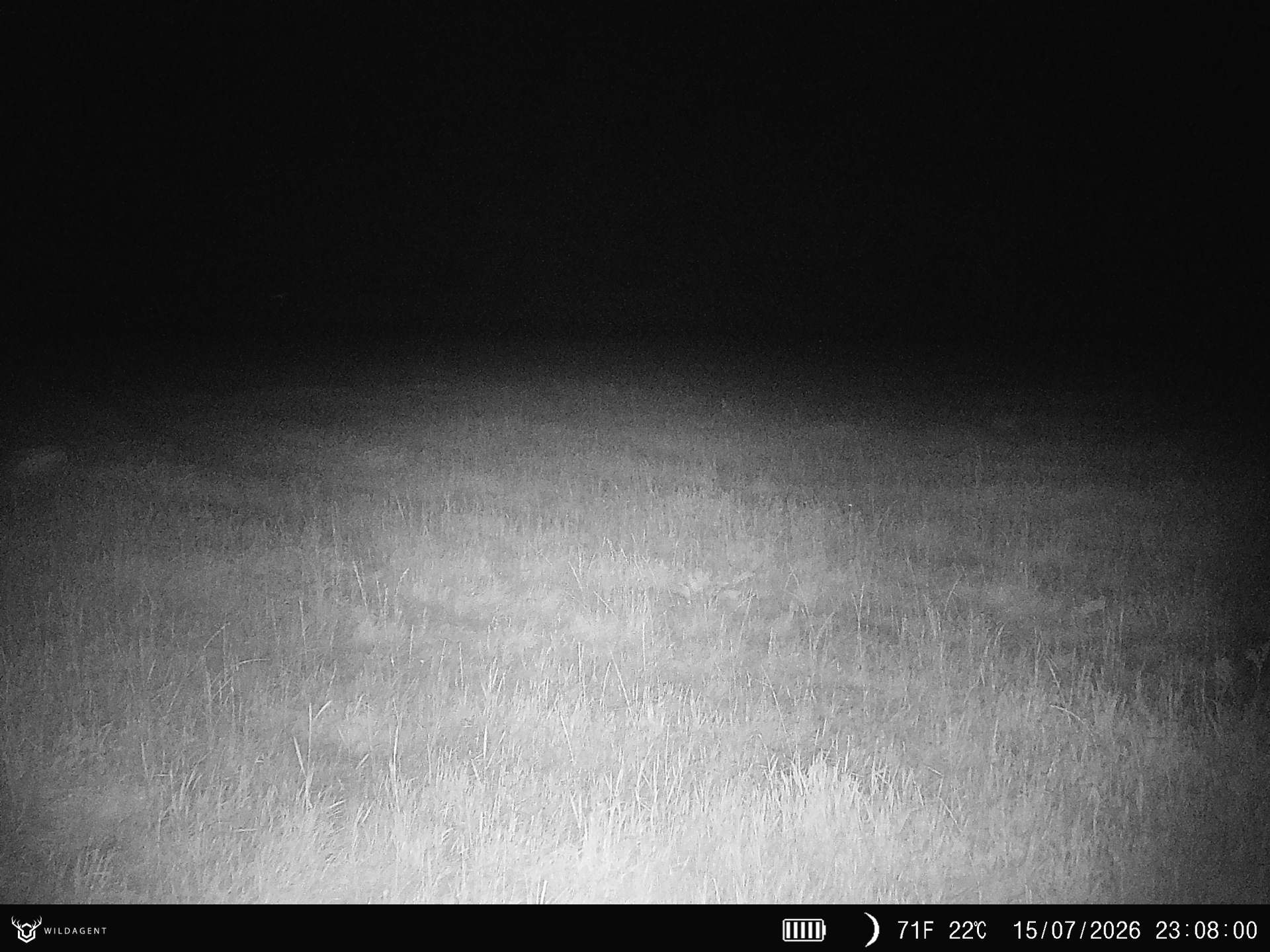 Wildtier 15.07.2026 23:08