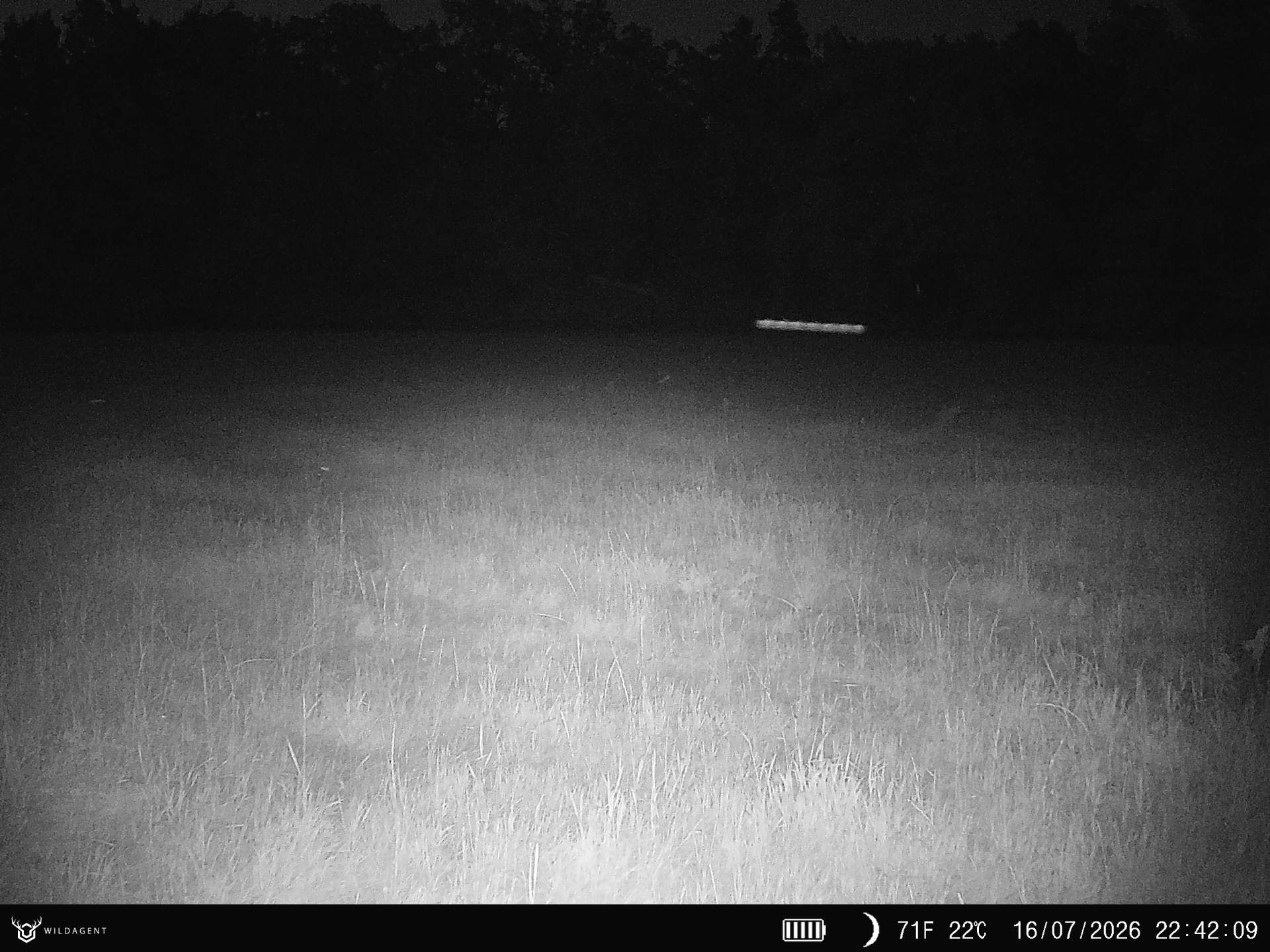 Wildtier 16.07.2026 22:42