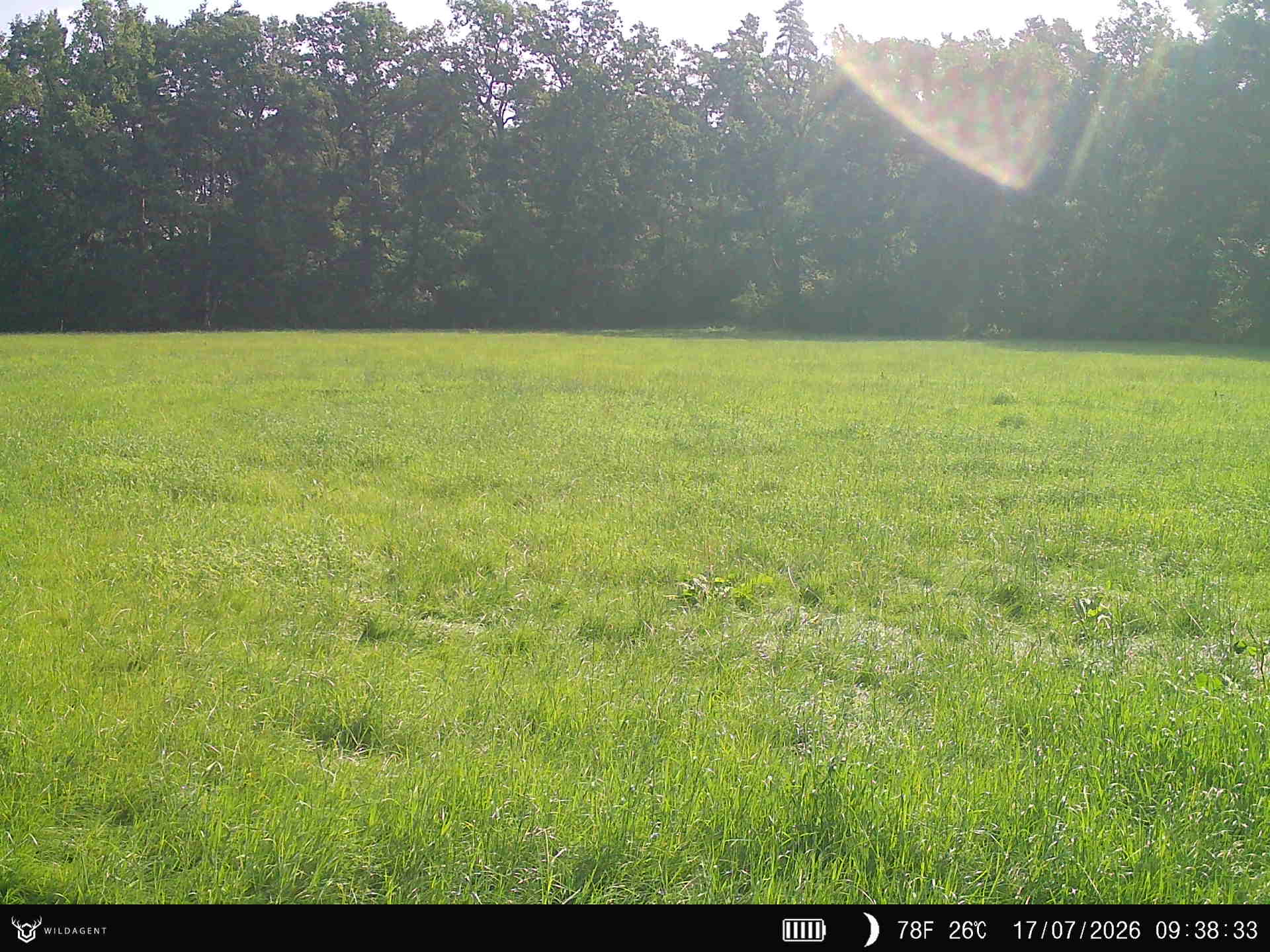 Wildtier 17.07.2026 09:38