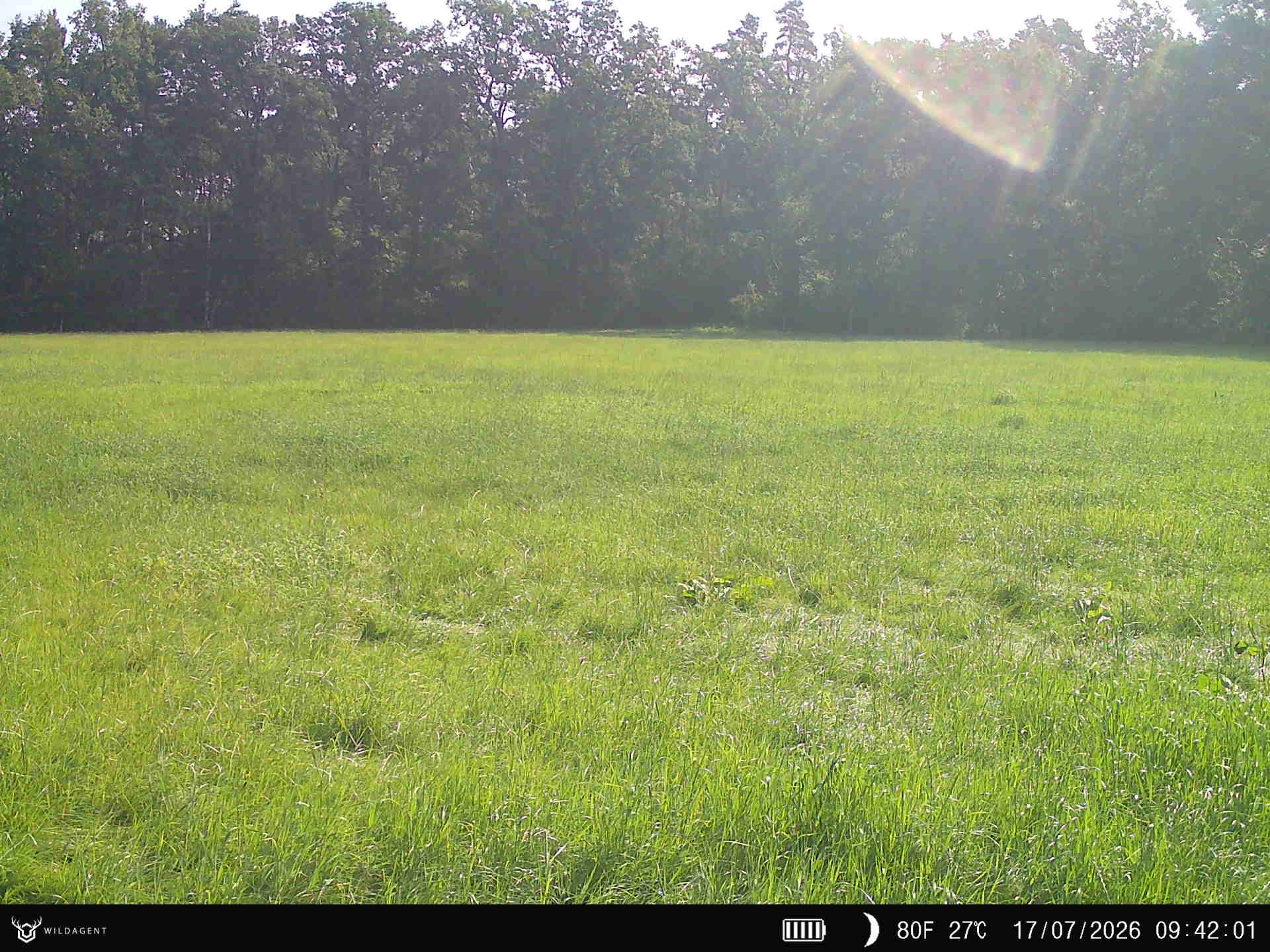 Wildtier 17.07.2026 09:42