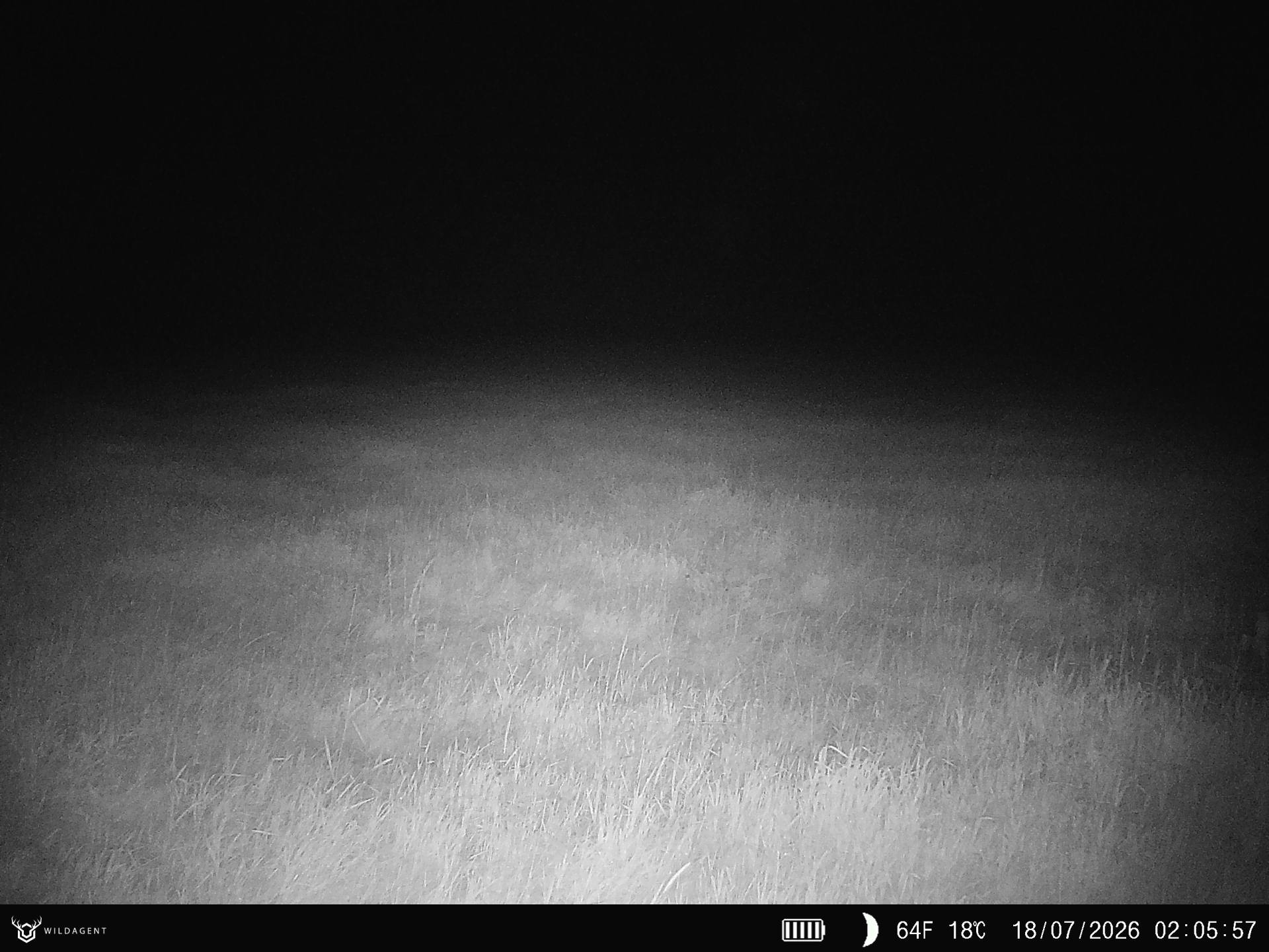 Wildtier 18.07.2026 02:05