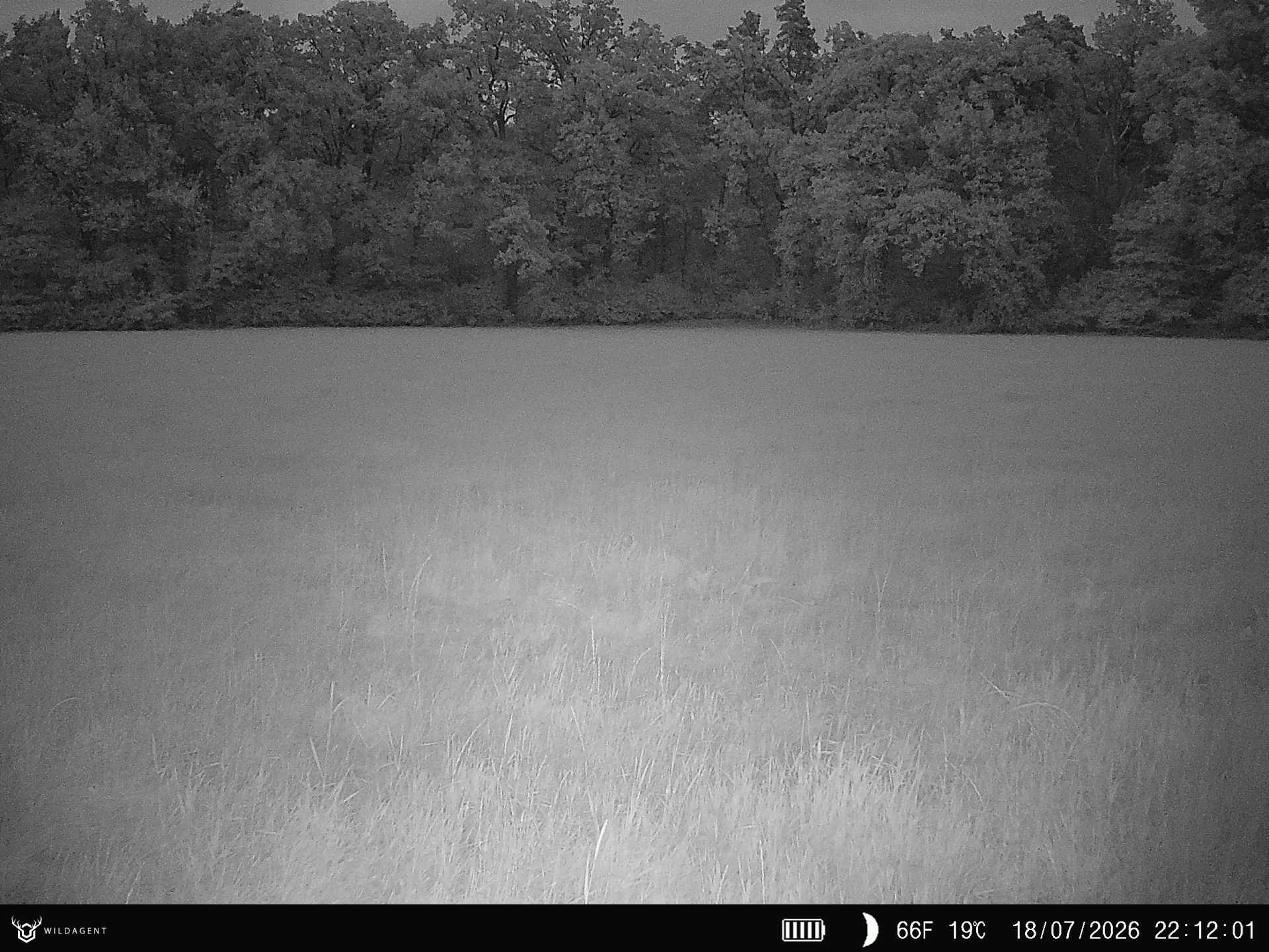 Wildtier 18.07.2026 22:12