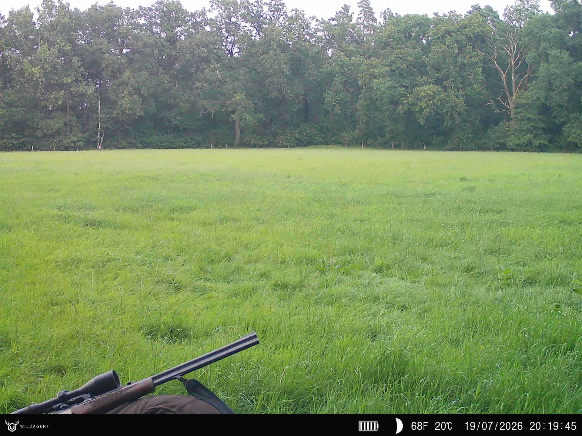 Wildtier 19.07.2026 20:19