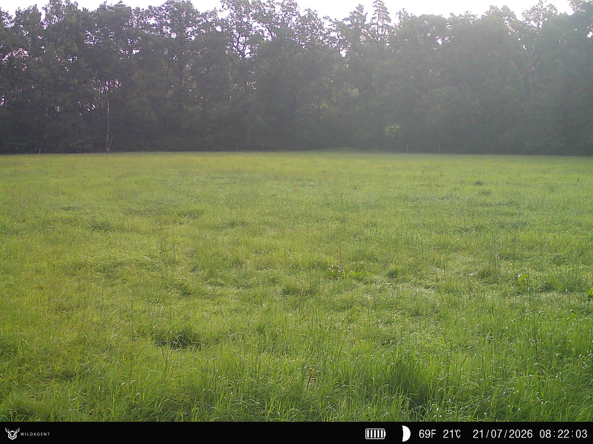 Wildtier 21.07.2026 08:22