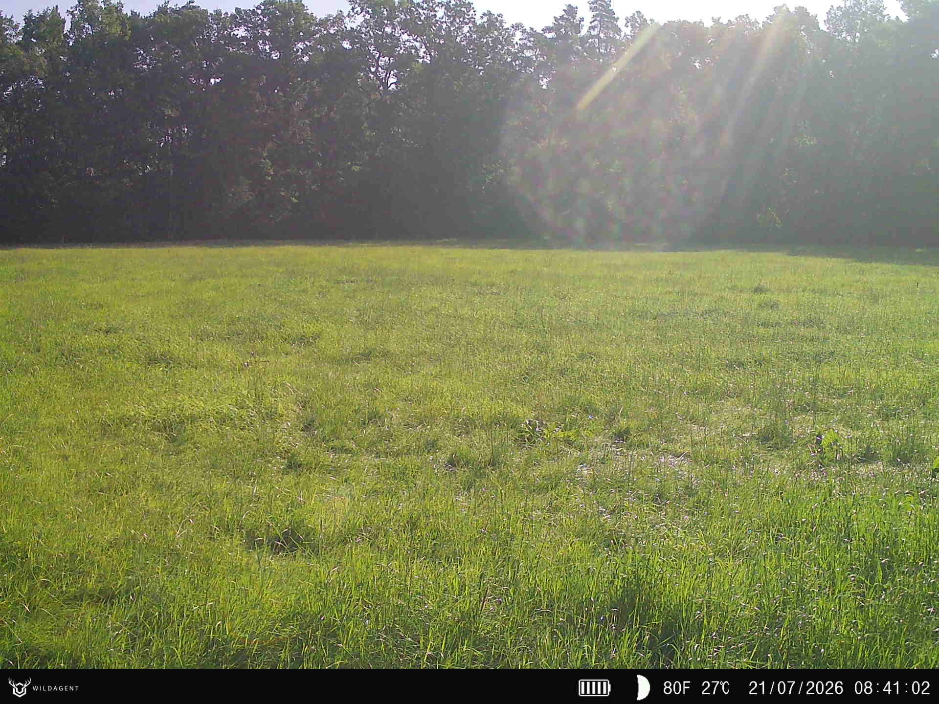 Wildtier 21.07.2026 08:41