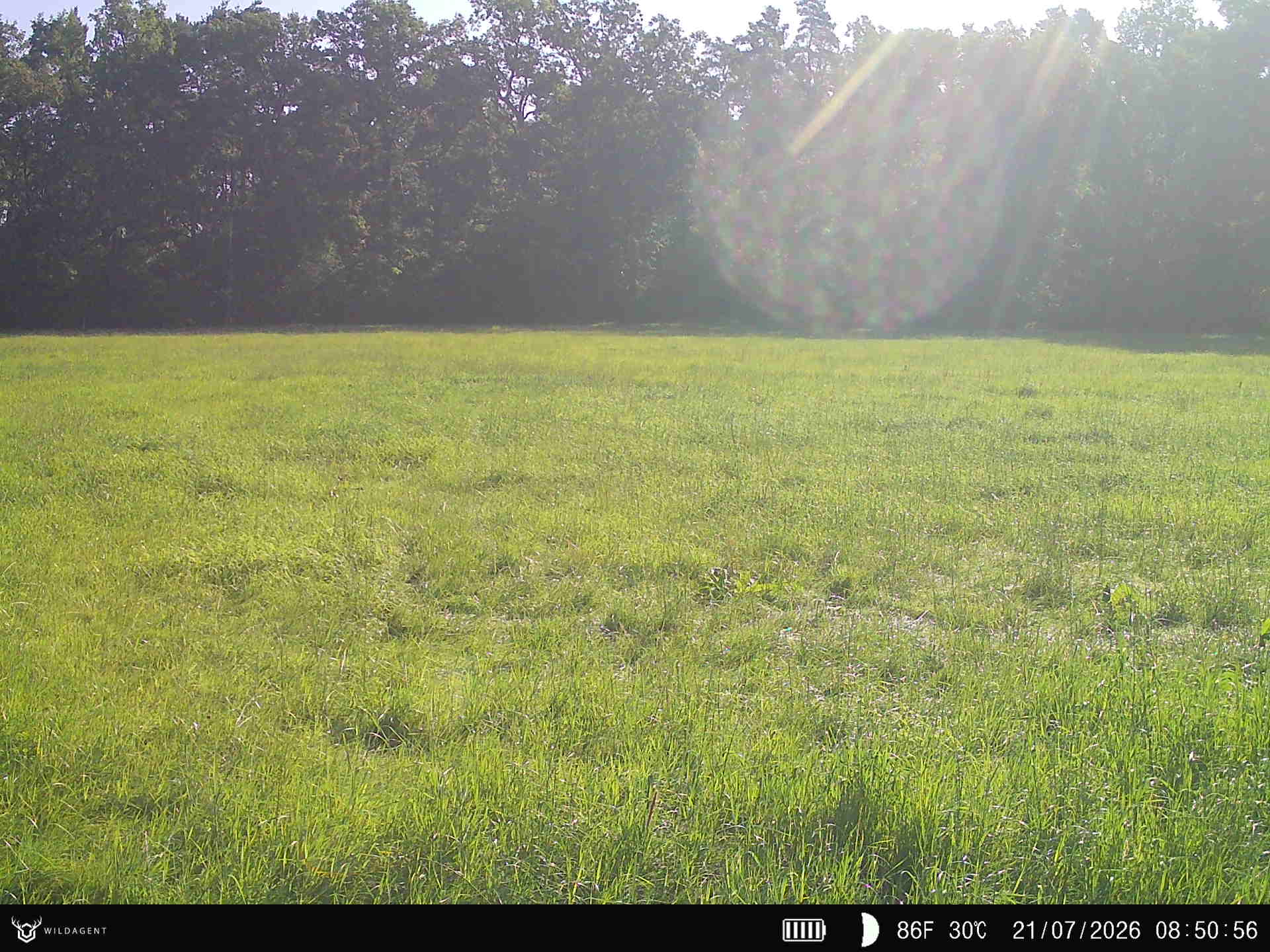 Wildtier 21.07.2026 08:50