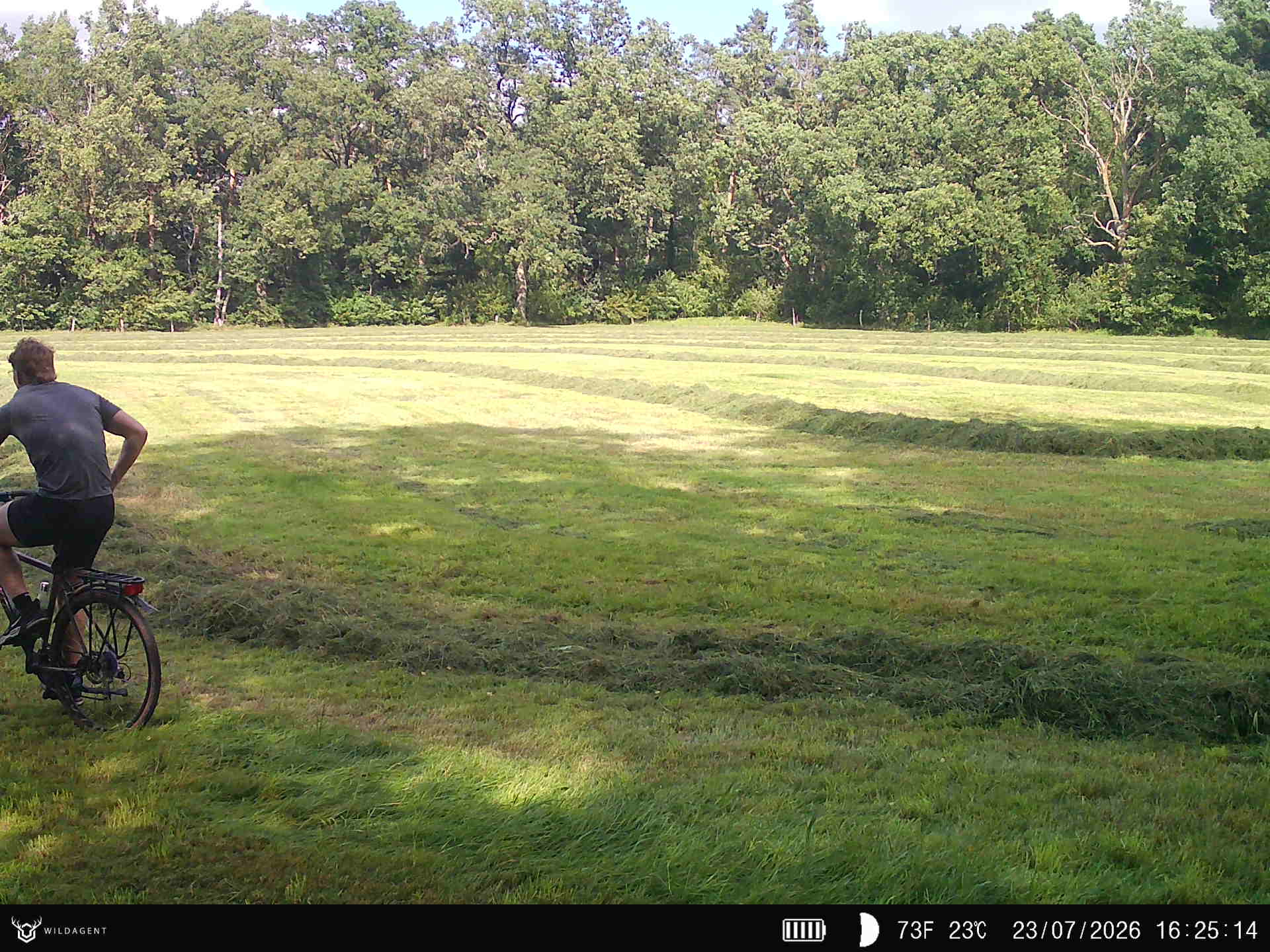 Wildtier 23.07.2026 16:25