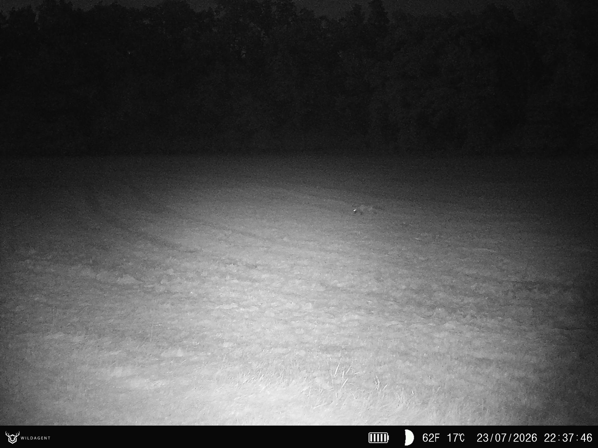 Wildtier 23.07.2026 22:37