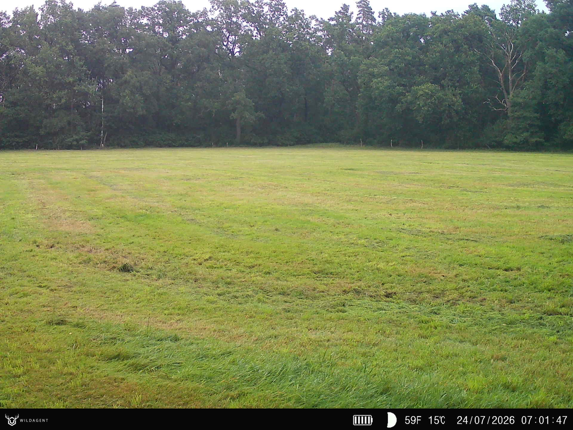 Wildtier 24.07.2026 07:01