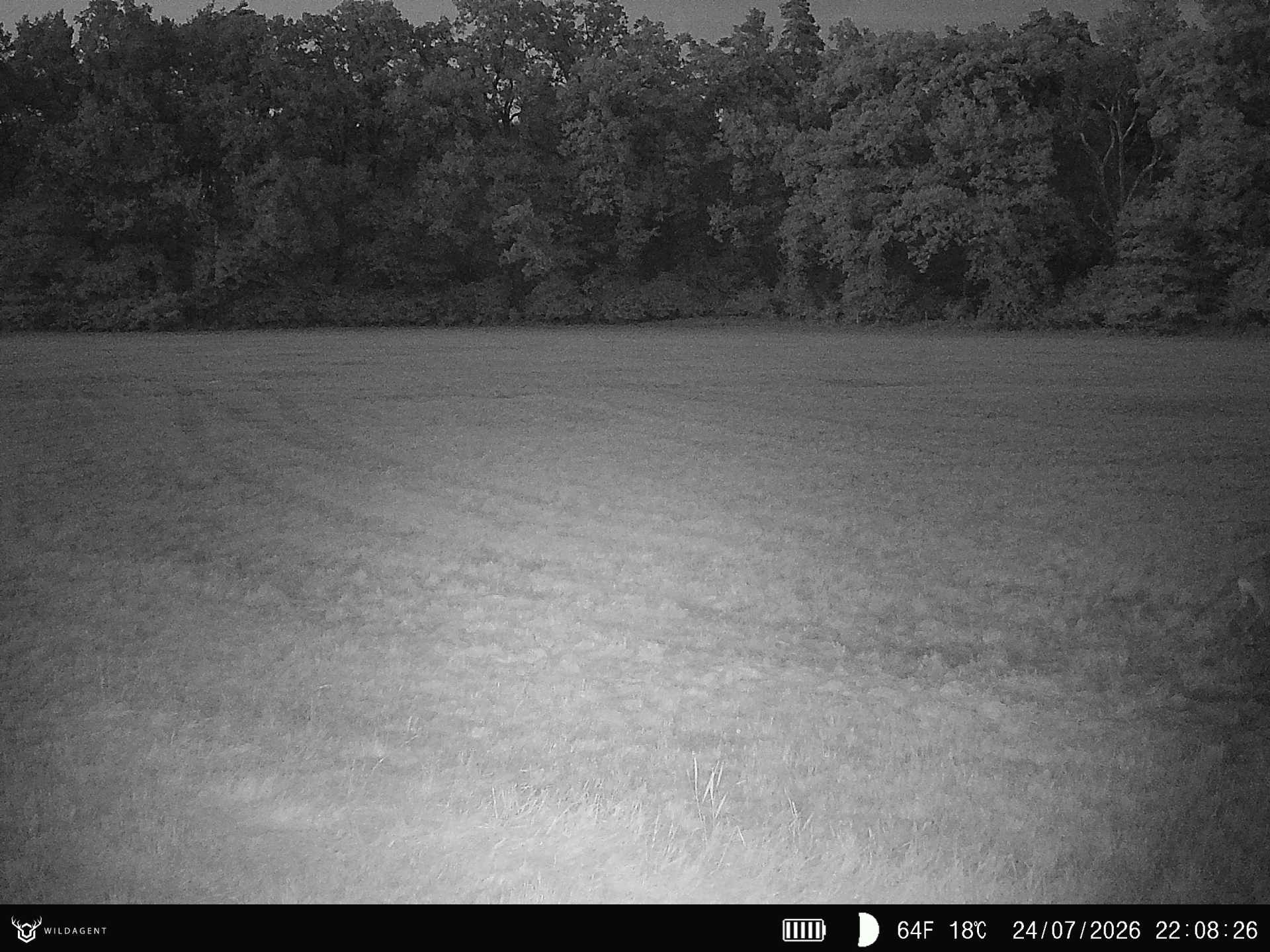 Wildtier 24.07.2026 22:08