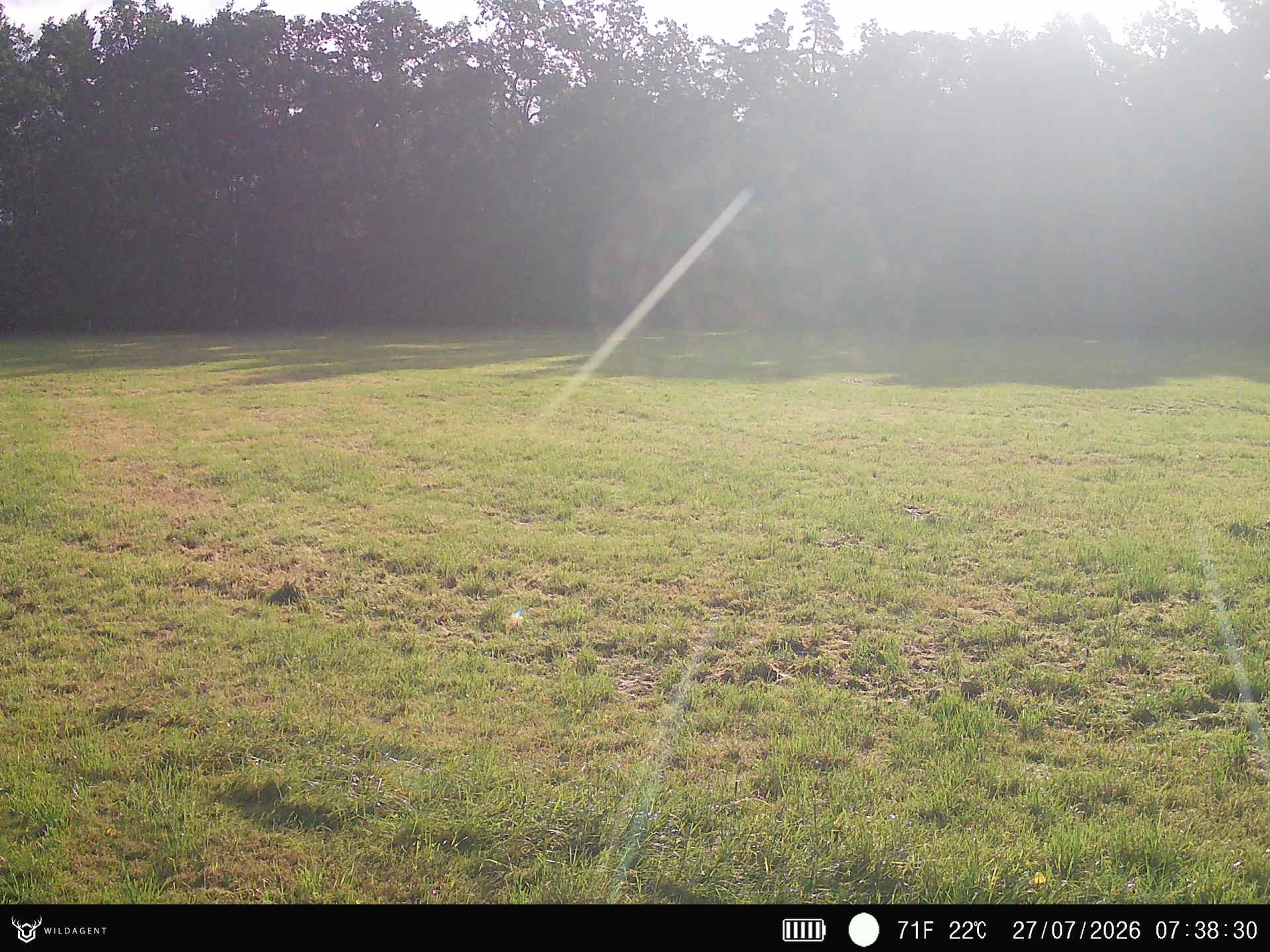 Wildtier 27.07.2026 07:38