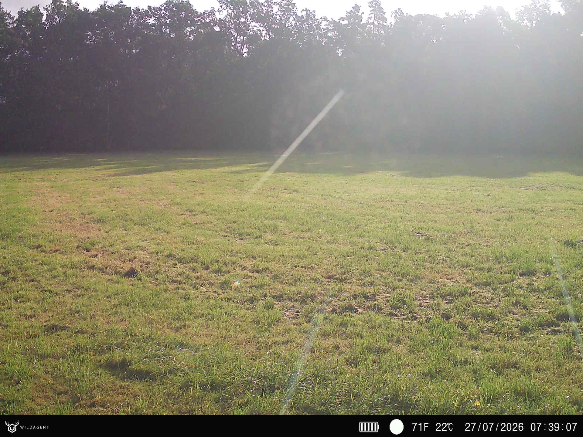 Wildtier 27.07.2026 07:39