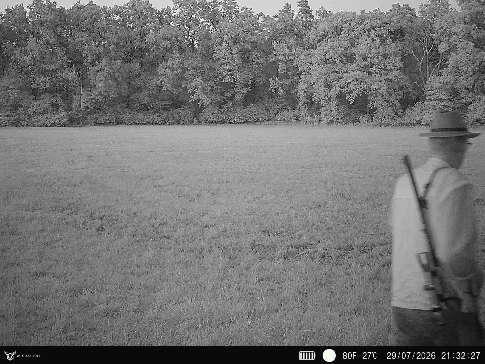 Wildtier 29.07.2026 21:32