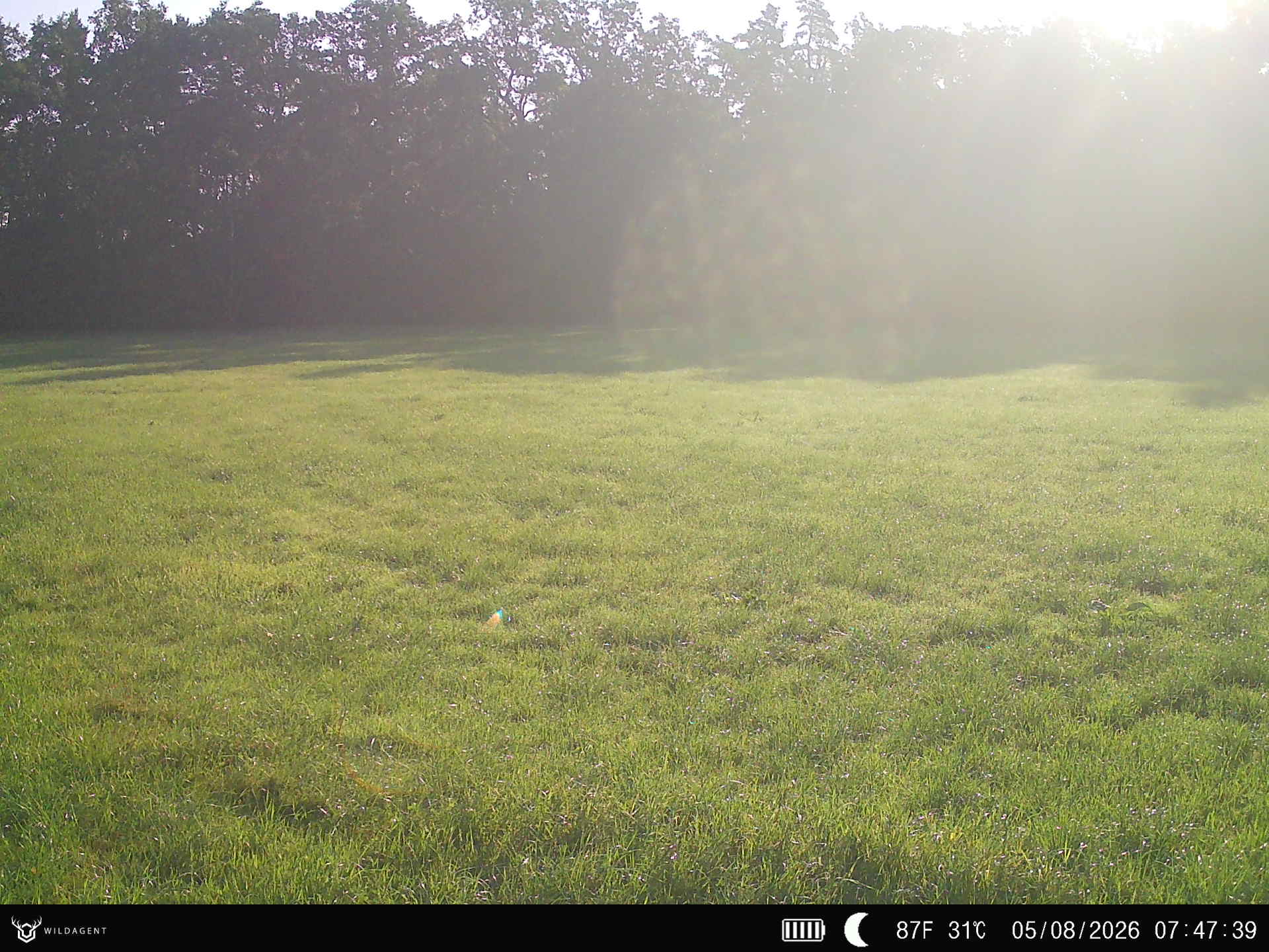 Wildtier 05.08.2026 07:47