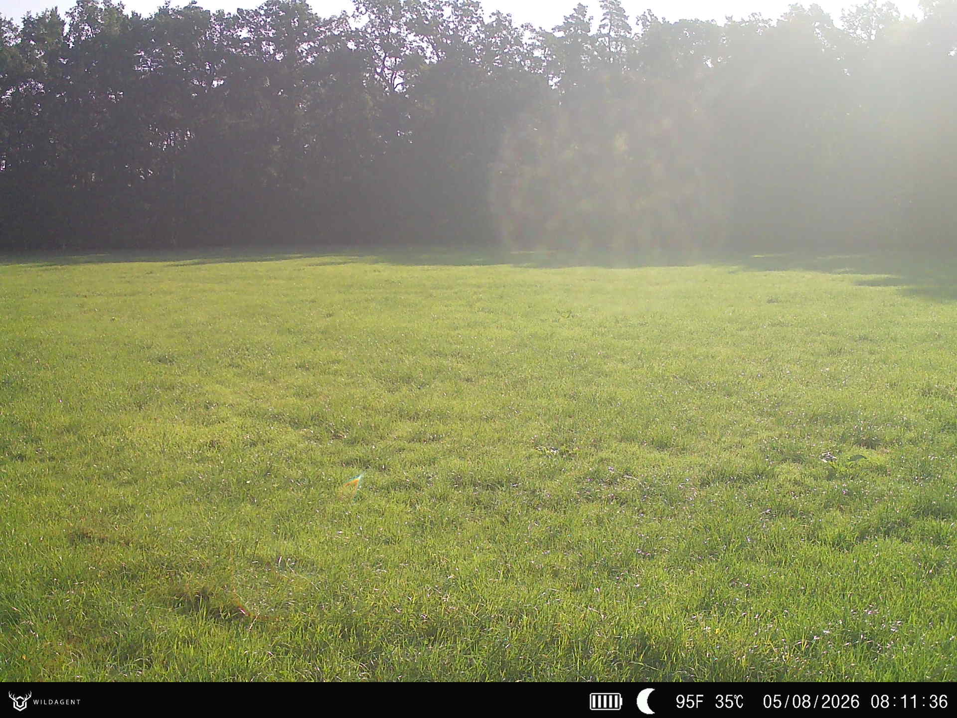 Wildtier 05.08.2026 08:11