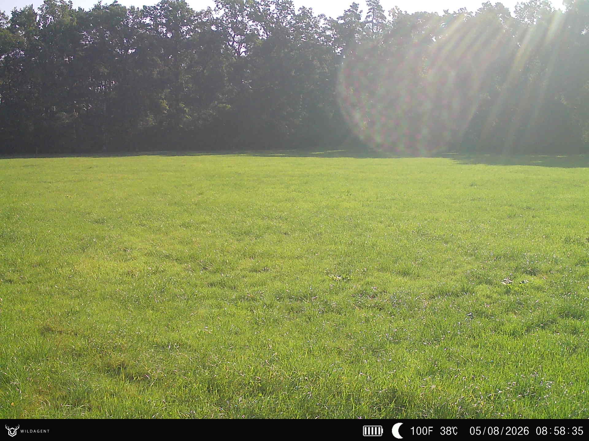 Wildtier 05.08.2026 08:58