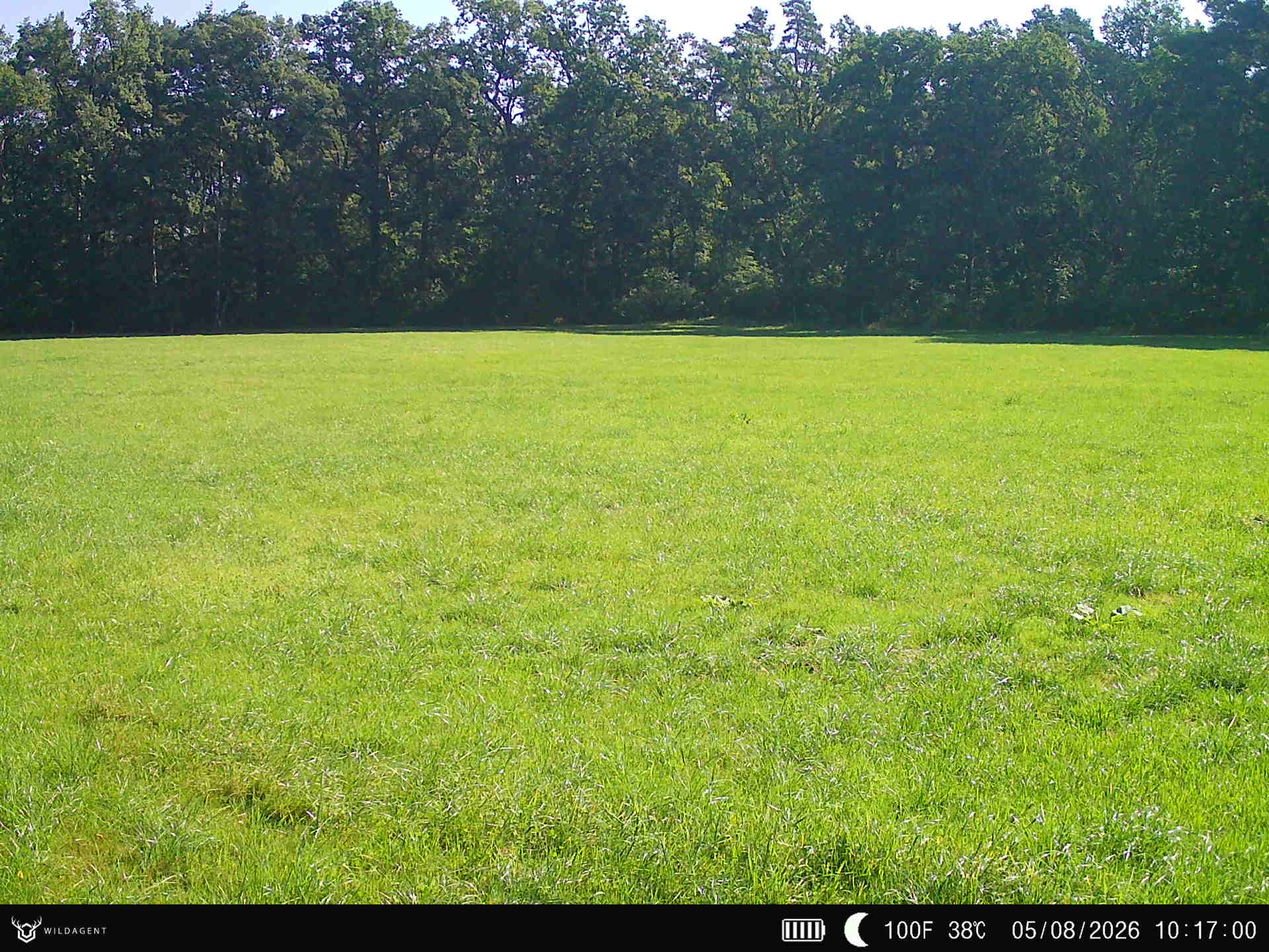 Wildtier 05.08.2026 10:17