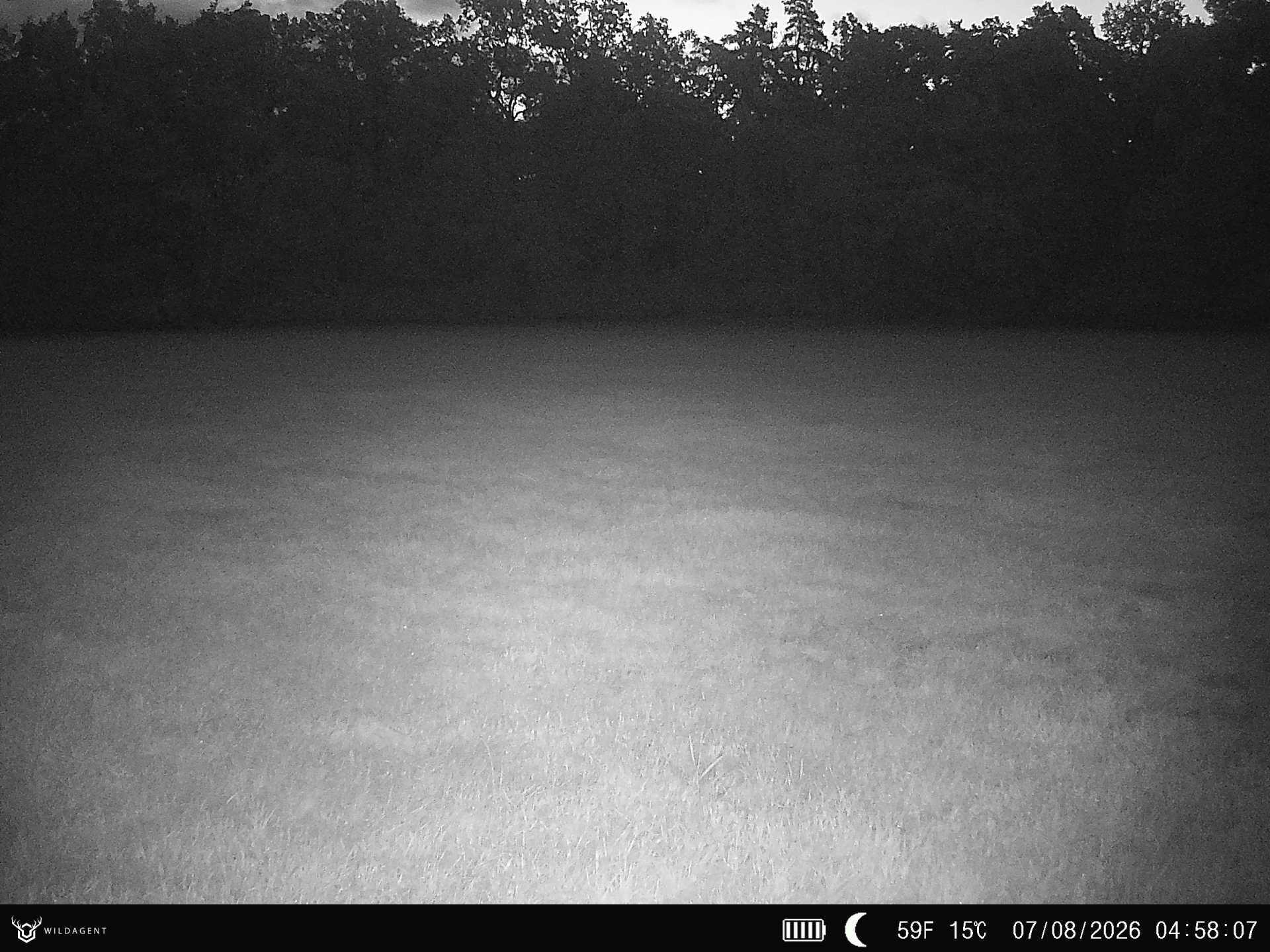 Wildtier 07.08.2026 04:58