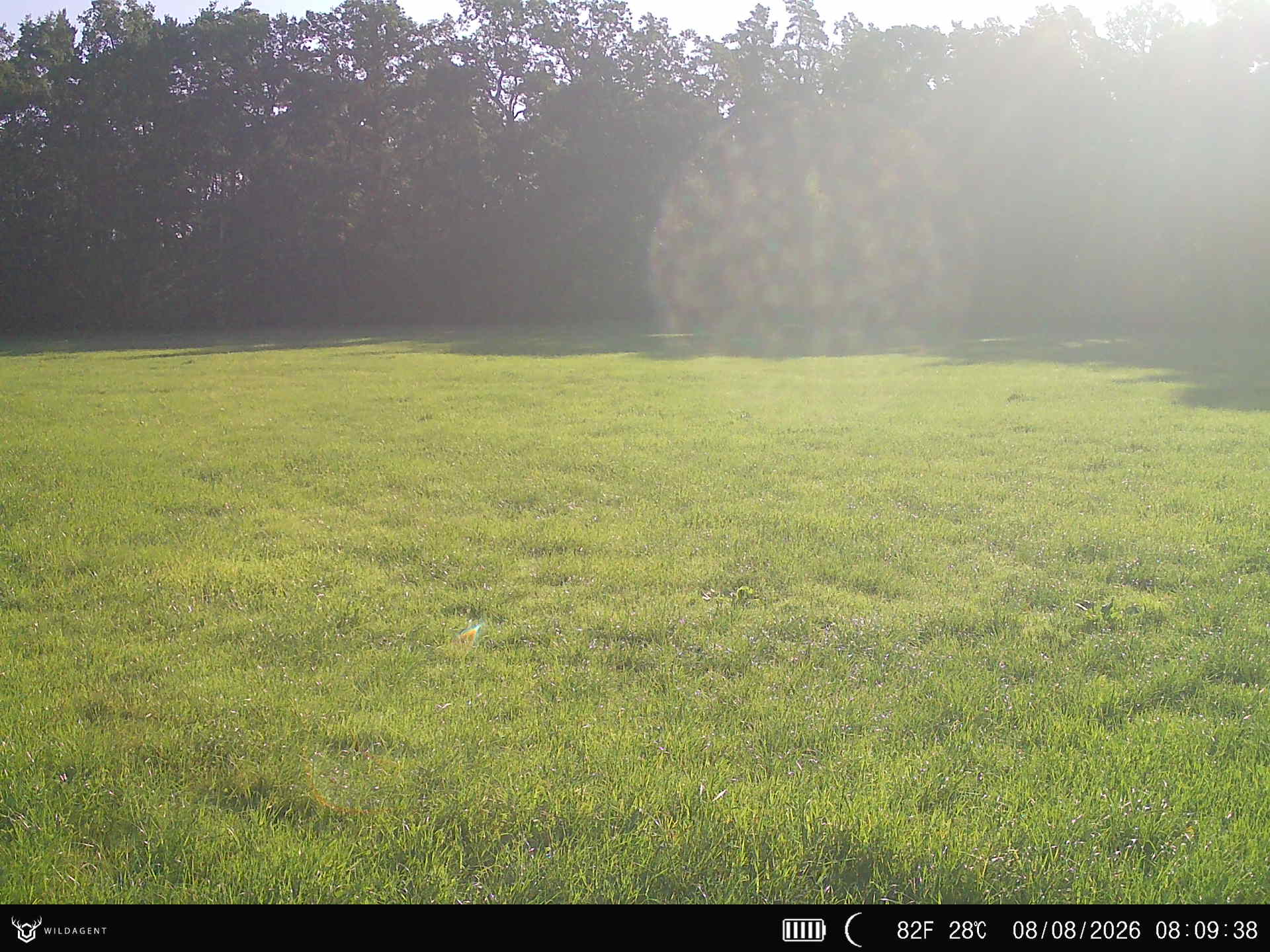Wildtier 08.08.2026 08:09