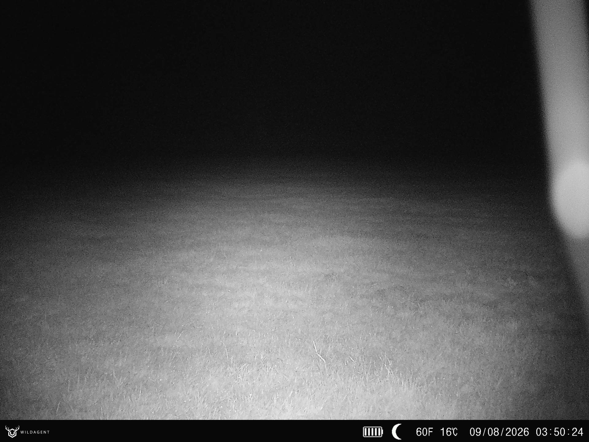 Wildtier 09.08.2026 03:50