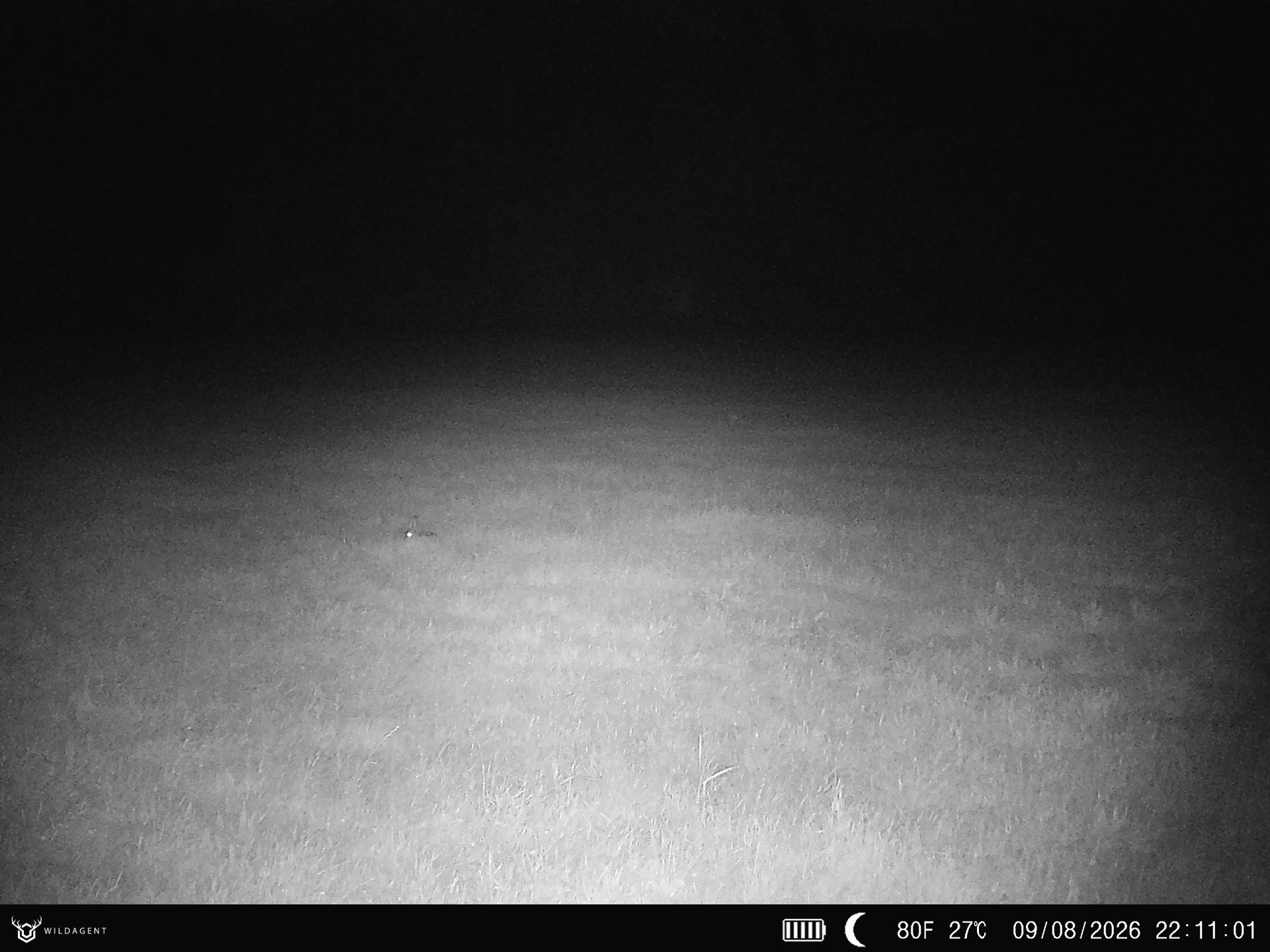 Wildtier 09.08.2026 22:11