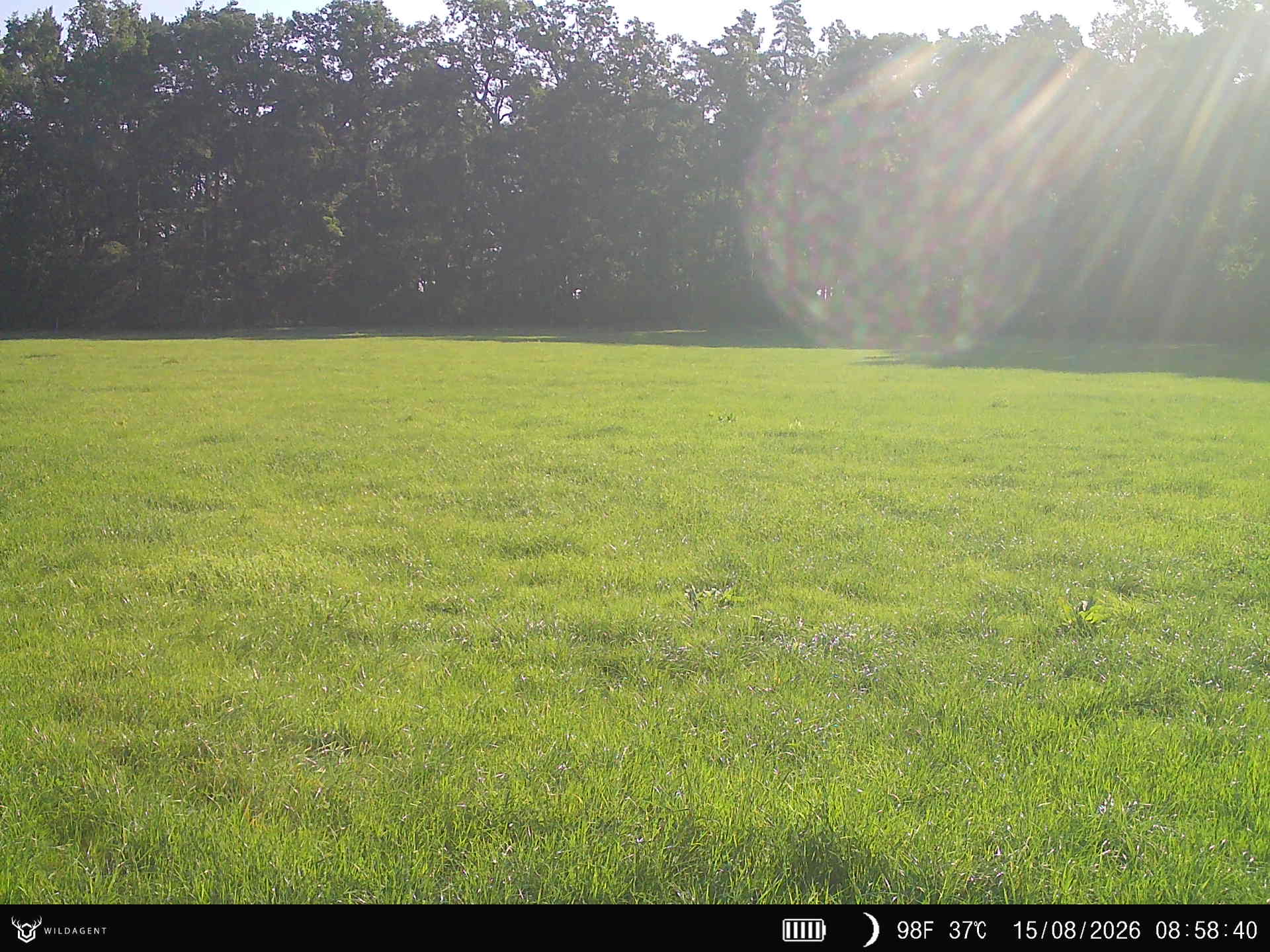 Wildtier 15.08.2026 08:58
