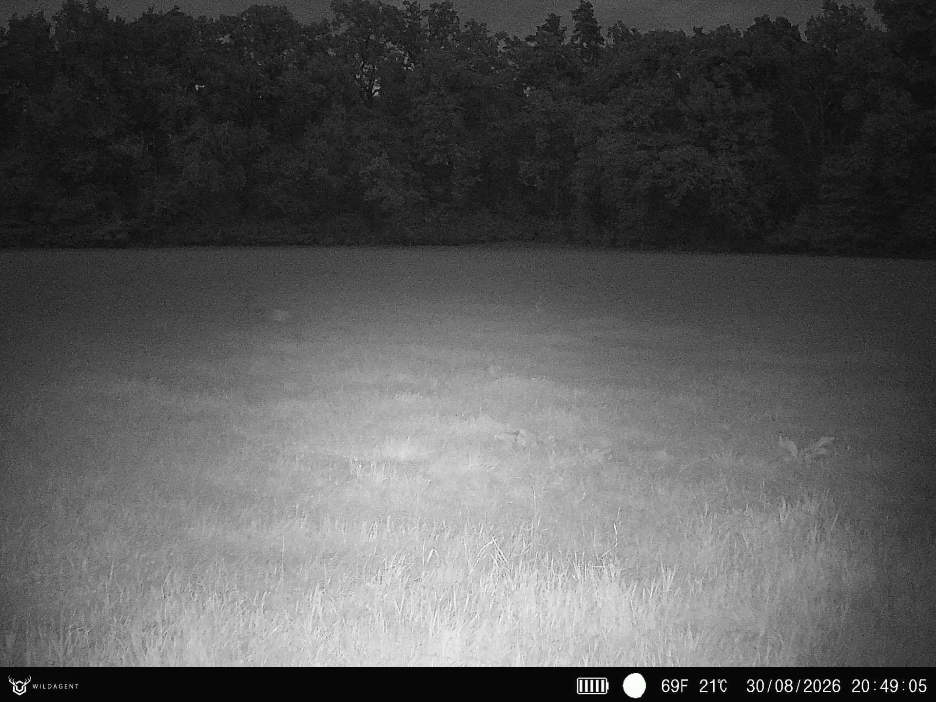 Wildtier 30.08.2026 20:49