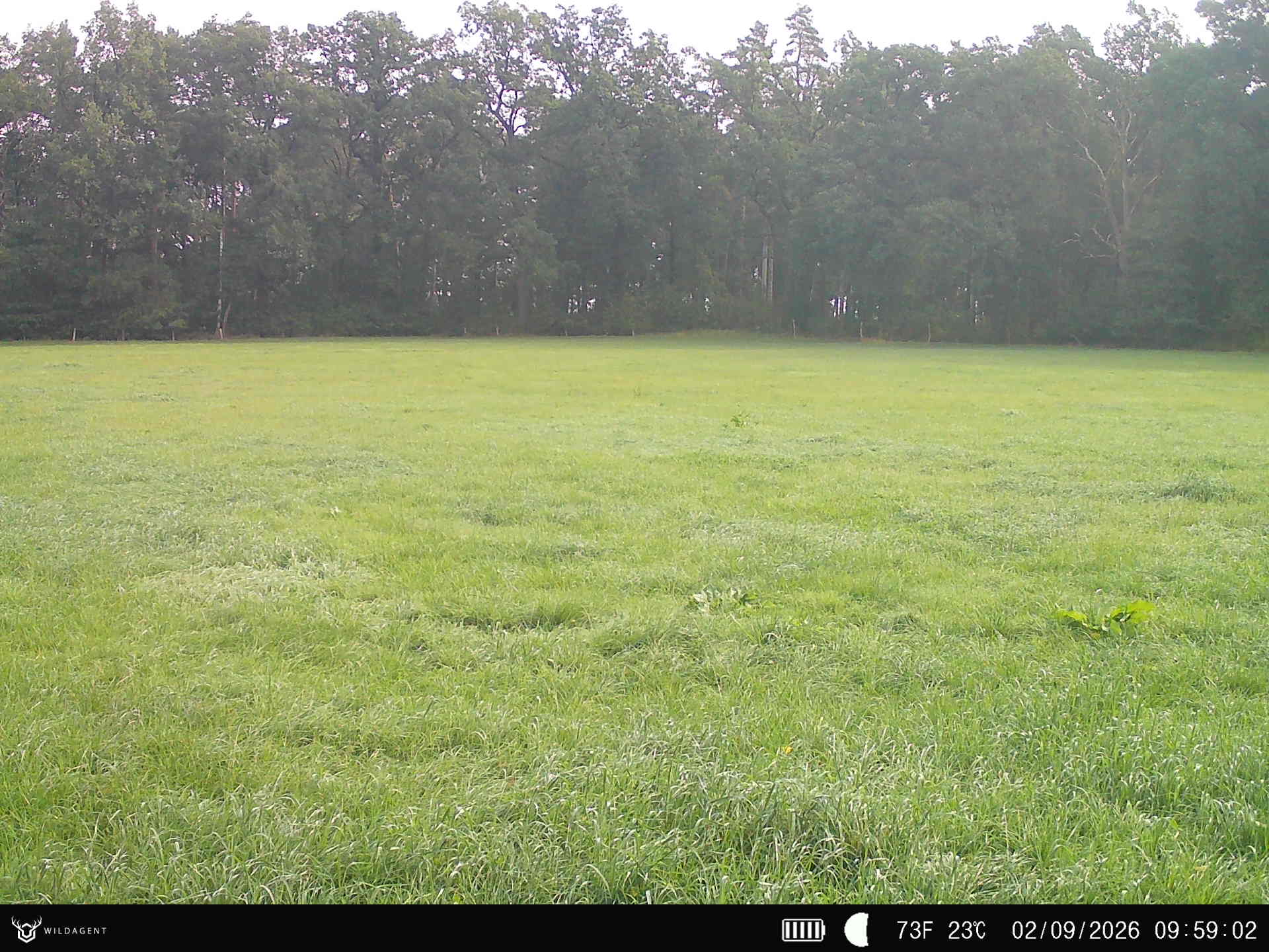 Wildtier 02.09.2026 09:59