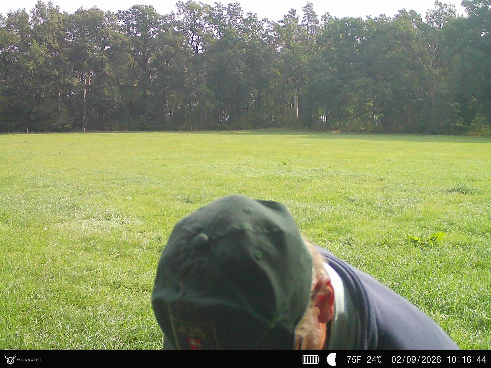 Wildtier 02.09.2026 10:16