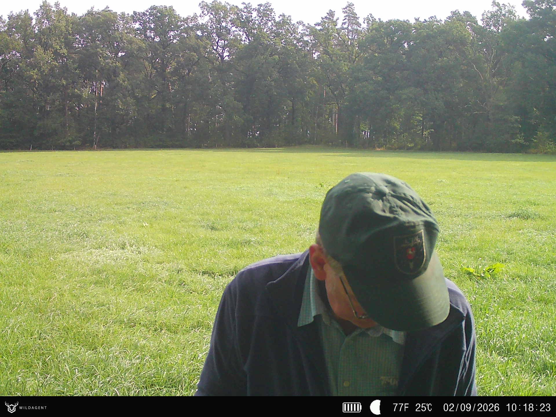 Wildtier 02.09.2026 10:18