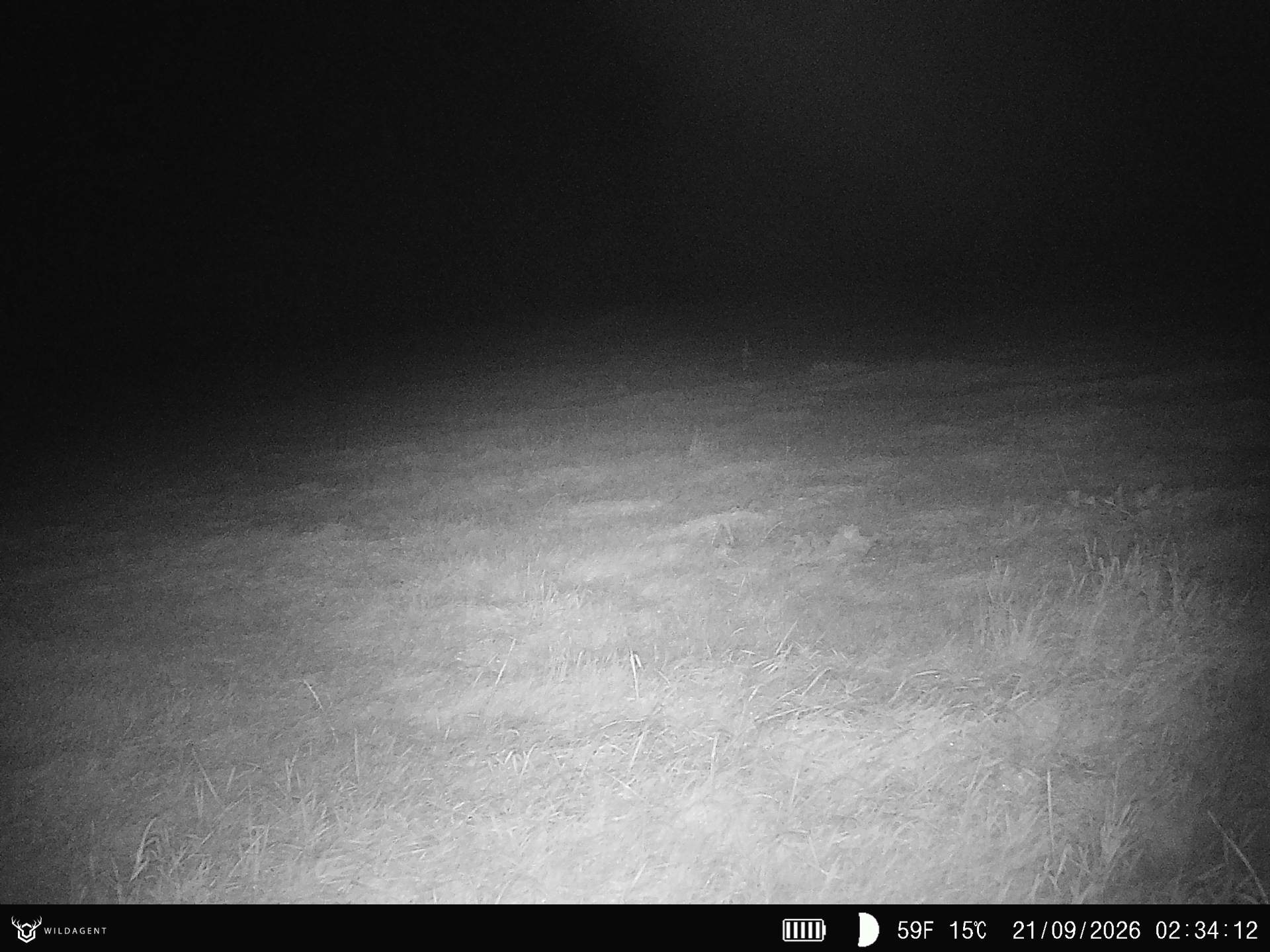 Wildtier 21.09.2026 02:34