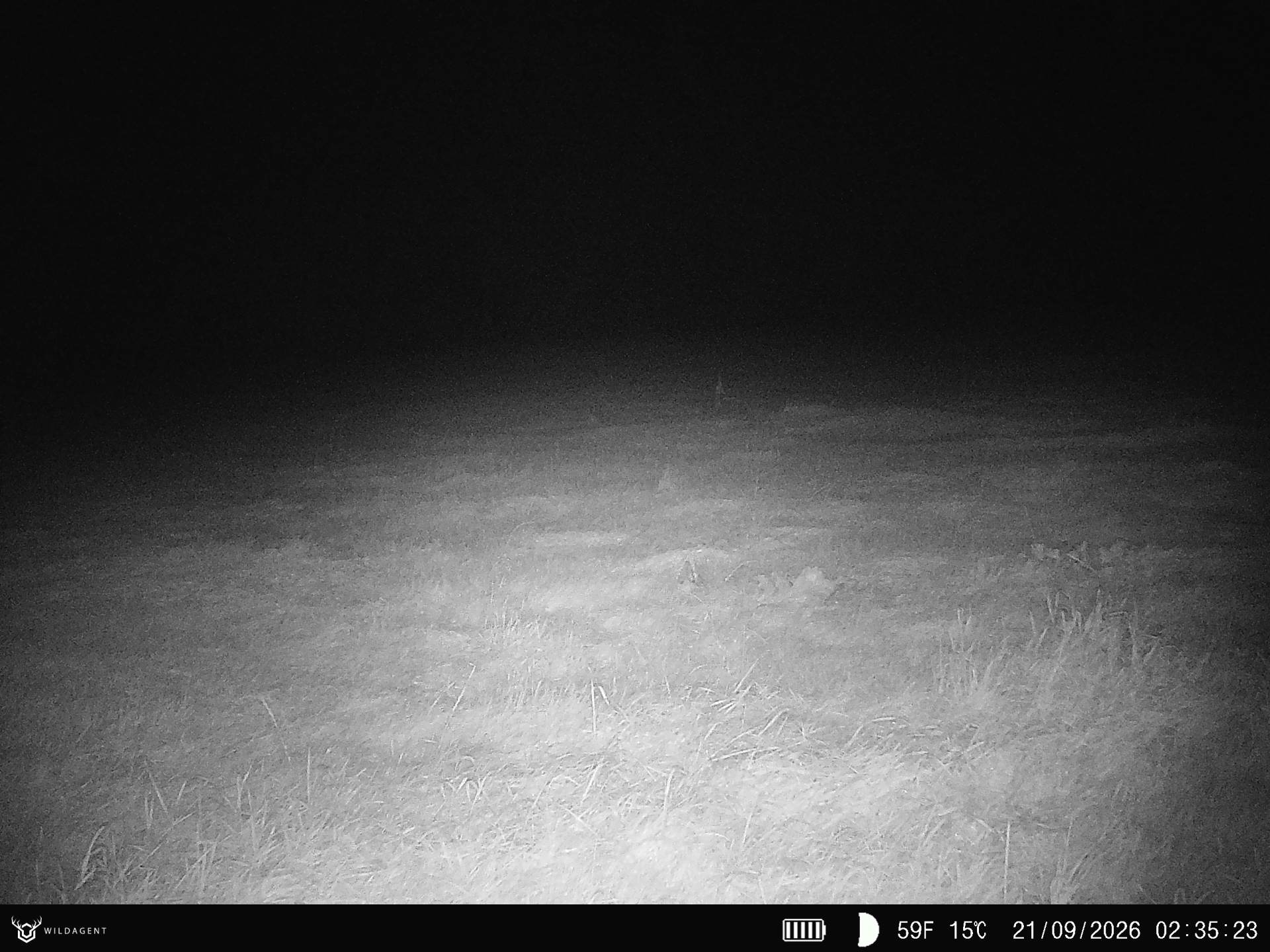 Wildtier 21.09.2026 02:35