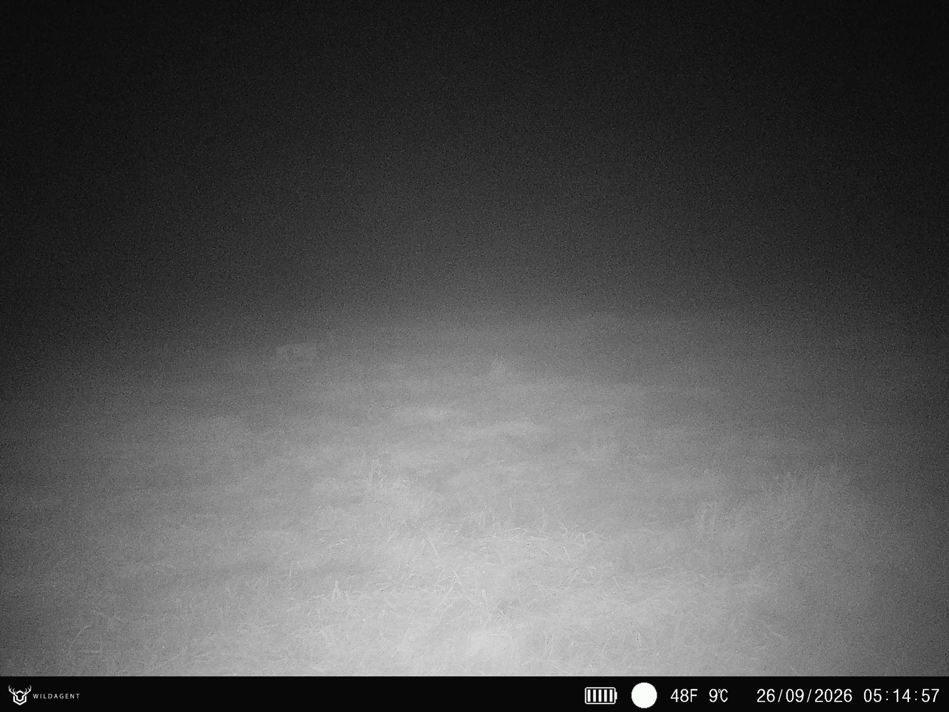 Wildtier 26.09.2026 05:14