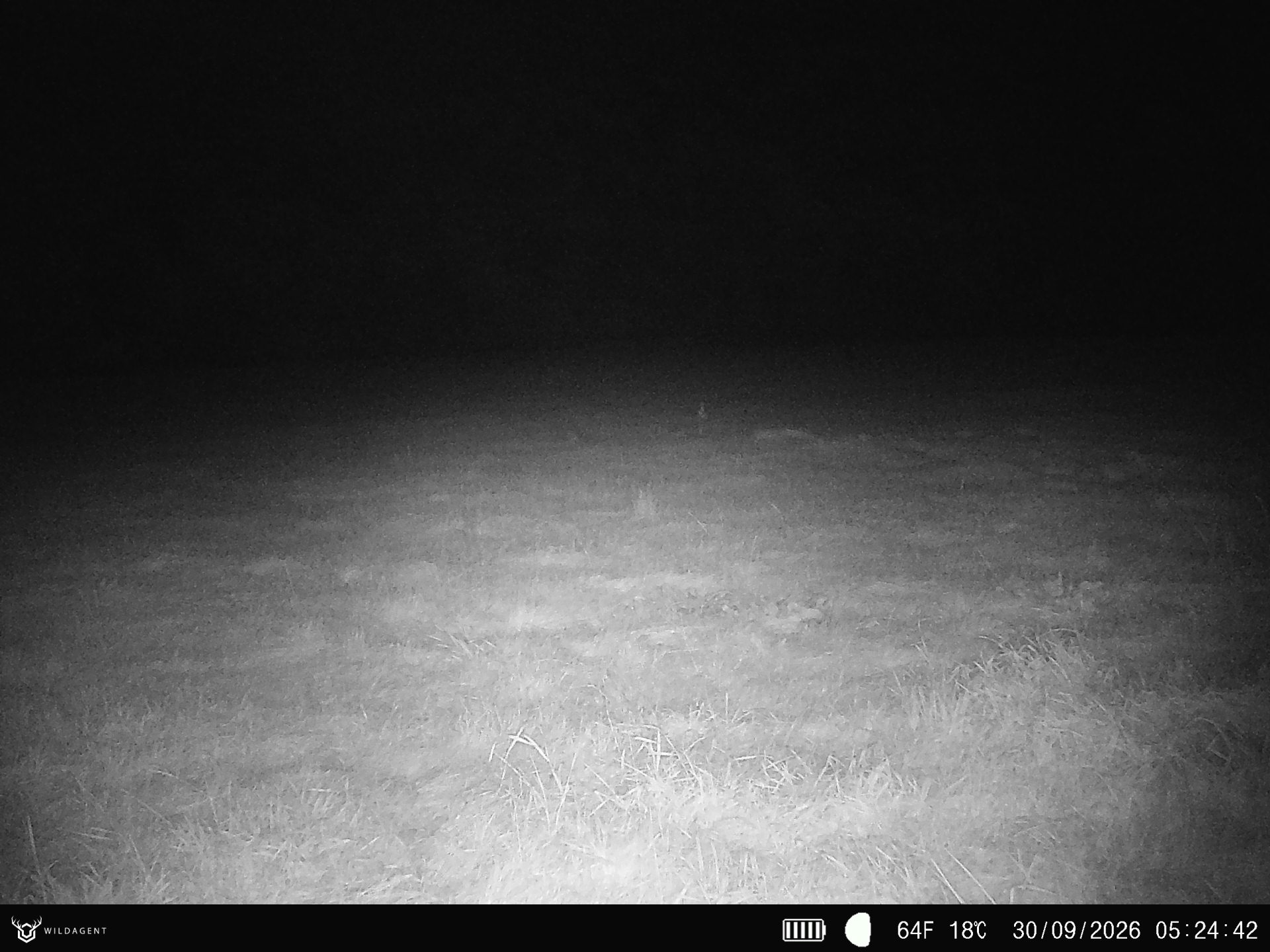 Wildtier 30.09.2026 05:24