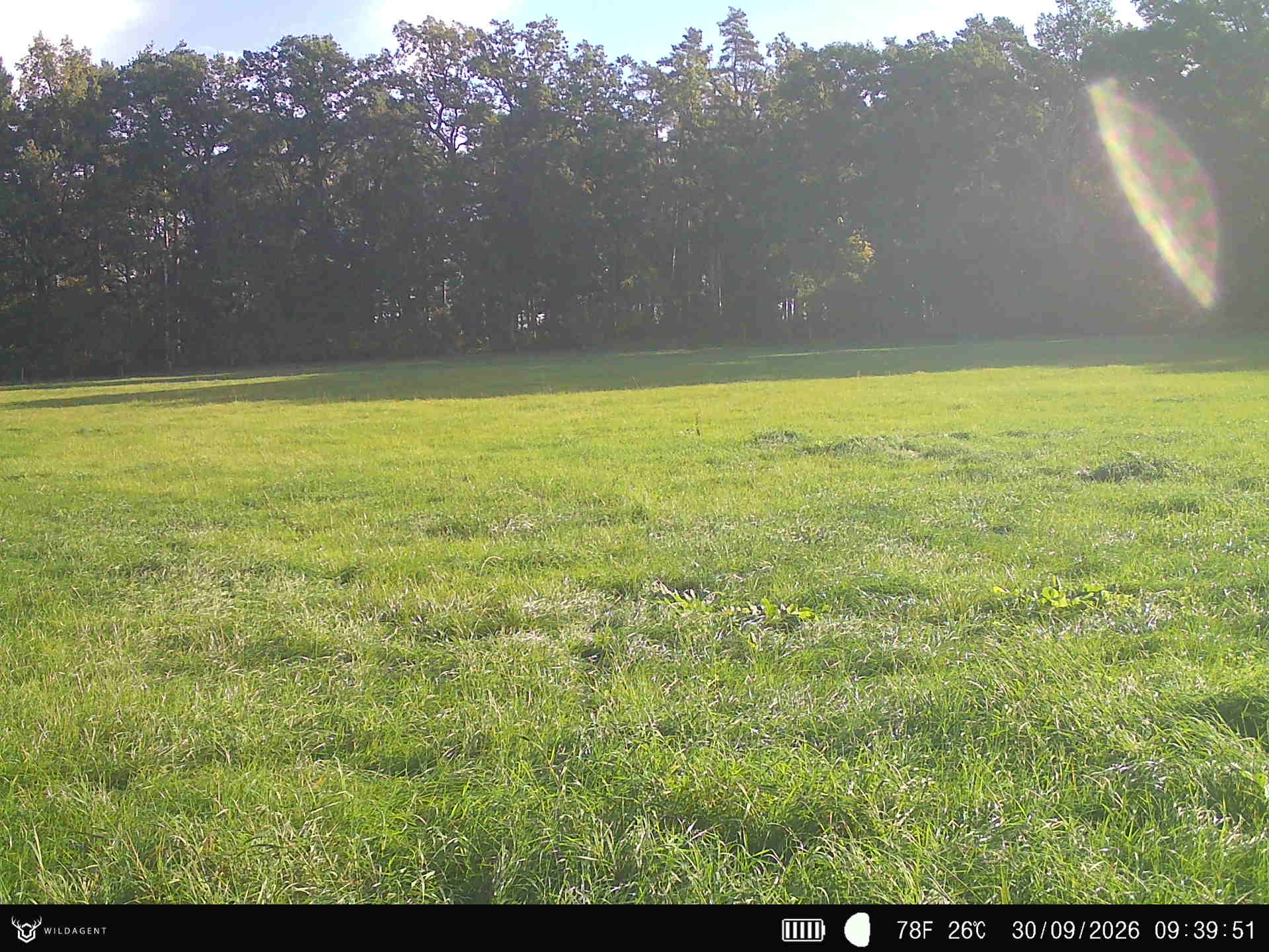 Wildtier 30.09.2026 09:39